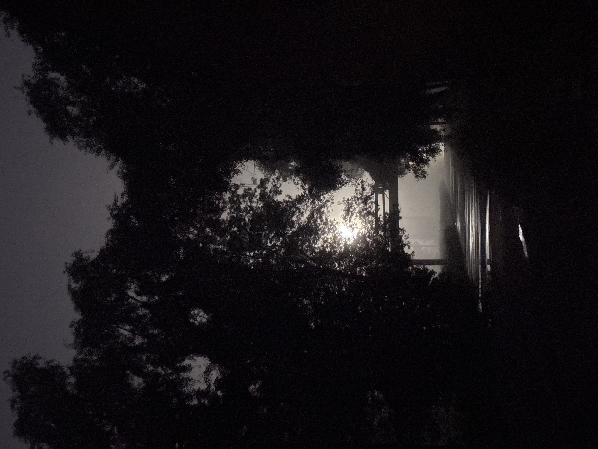 The image depicts a dimly lit, possibly nighttime, outdoor scene framed by dark silhouettes of trees on either side. A path or road, which appears to be wet and reflective, leads into the distance. In the background, a bright light source, likely the moon or a streetlamp, is visible through a gap in the trees and an overhead structure. The atmosphere is hazy, contributing to a somewhat mysterious or eerie ambiance. The location is identified as Homyel, Belarus. There are no people or specific actions discernible in the image.