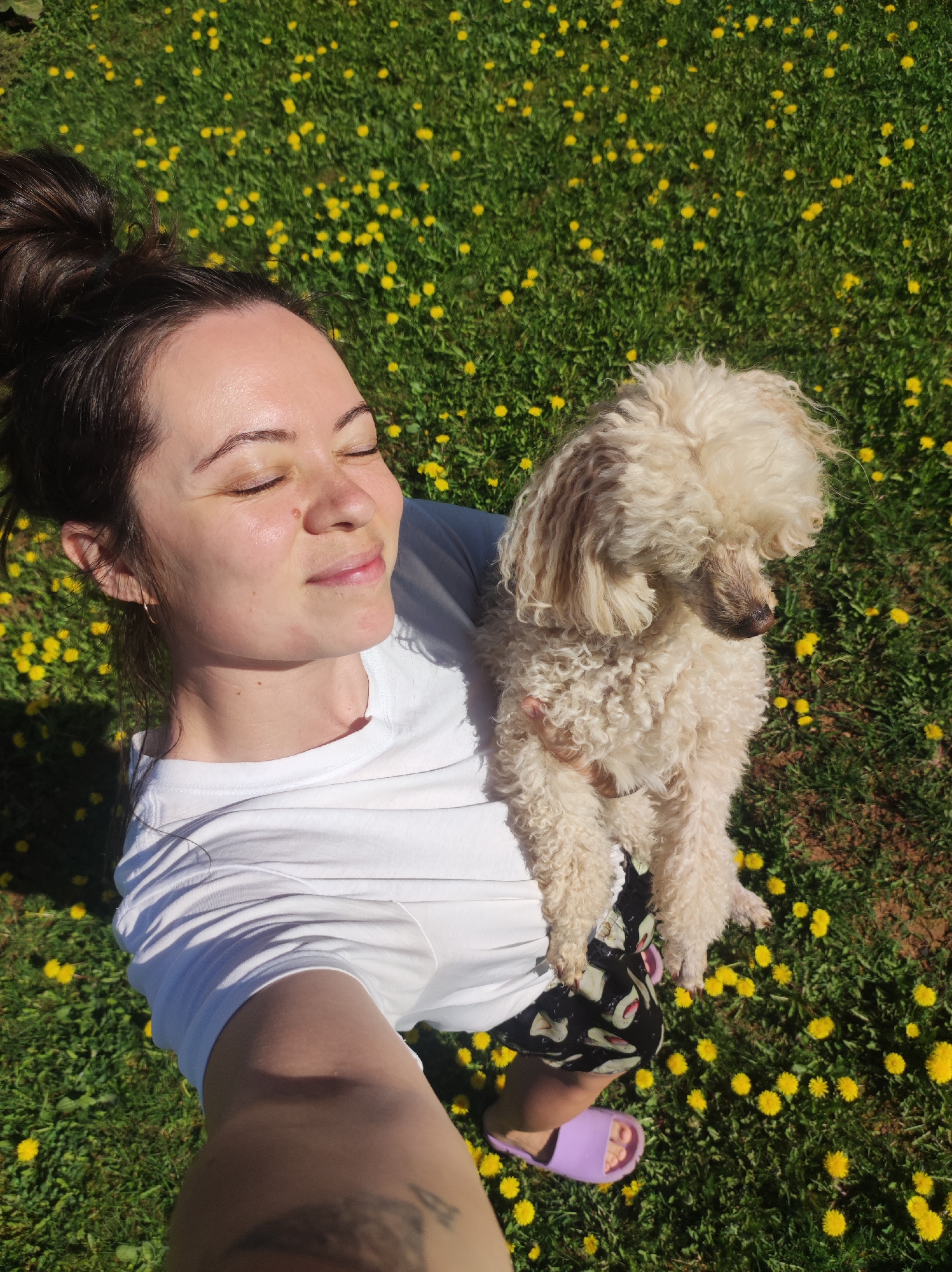 A person is holding a small, light-colored poodle in a field of dandelions. The person has brown hair in a bun, is wearing a white t-shirt and patterned shorts, and has purple sandals on their feet. They are standing in green grass filled with yellow dandelion flowers. The person's eyes are closed and they are smiling slightly. The person is presumably holding the camera and taking a selfie. The location is not identified in the image.