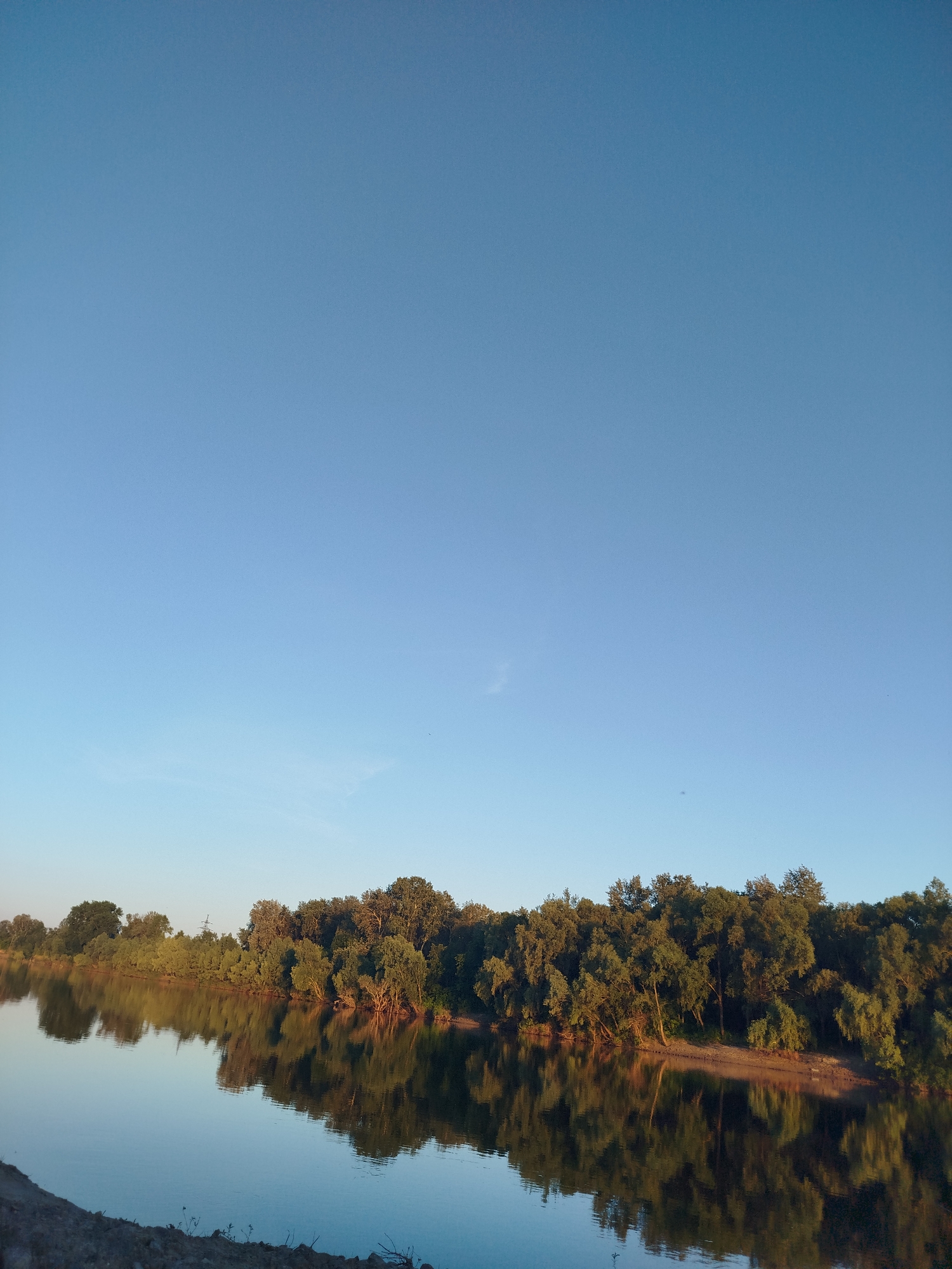 A tranquil river reflects a dense line of trees lining its bank under a clear, pale blue sky. The foliage, a mix of greens and golds, is illuminated by soft sunlight, casting distinct reflections on the water's surface. The riverbank in the foreground is earthy and somewhat rugged, with sparse vegetation. The overall scene evokes a peaceful, natural setting.