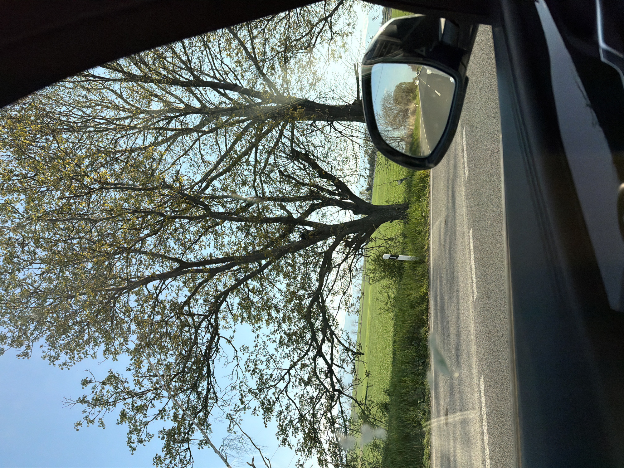 From inside a vehicle, a view out the side window shows a rural road lined with grass and a mature tree with budding leaves. The sky is visible through the branches. The car's side mirror reflects a similar scene of the road and trees. The location and city are Unknown.