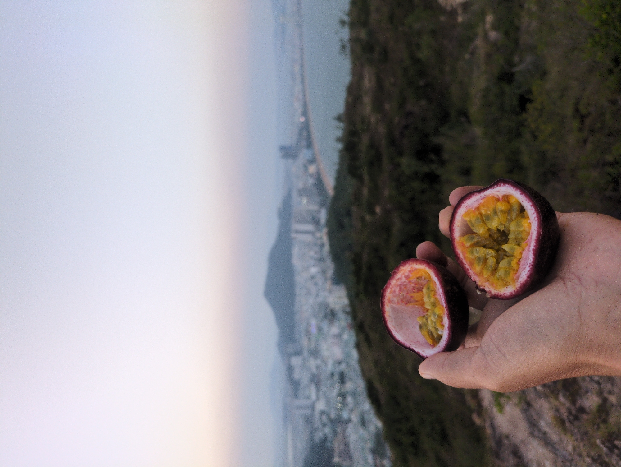 A hand holds two halves of a passion fruit, revealing yellow pulp and seeds. Behind the hand, a blurred cityscape stretches along the coast, with buildings, mountains, and the sea visible under a hazy sky. Green vegetation appears on the right side of the frame. The location is near South Quy Nhon Ward, Vietnam.