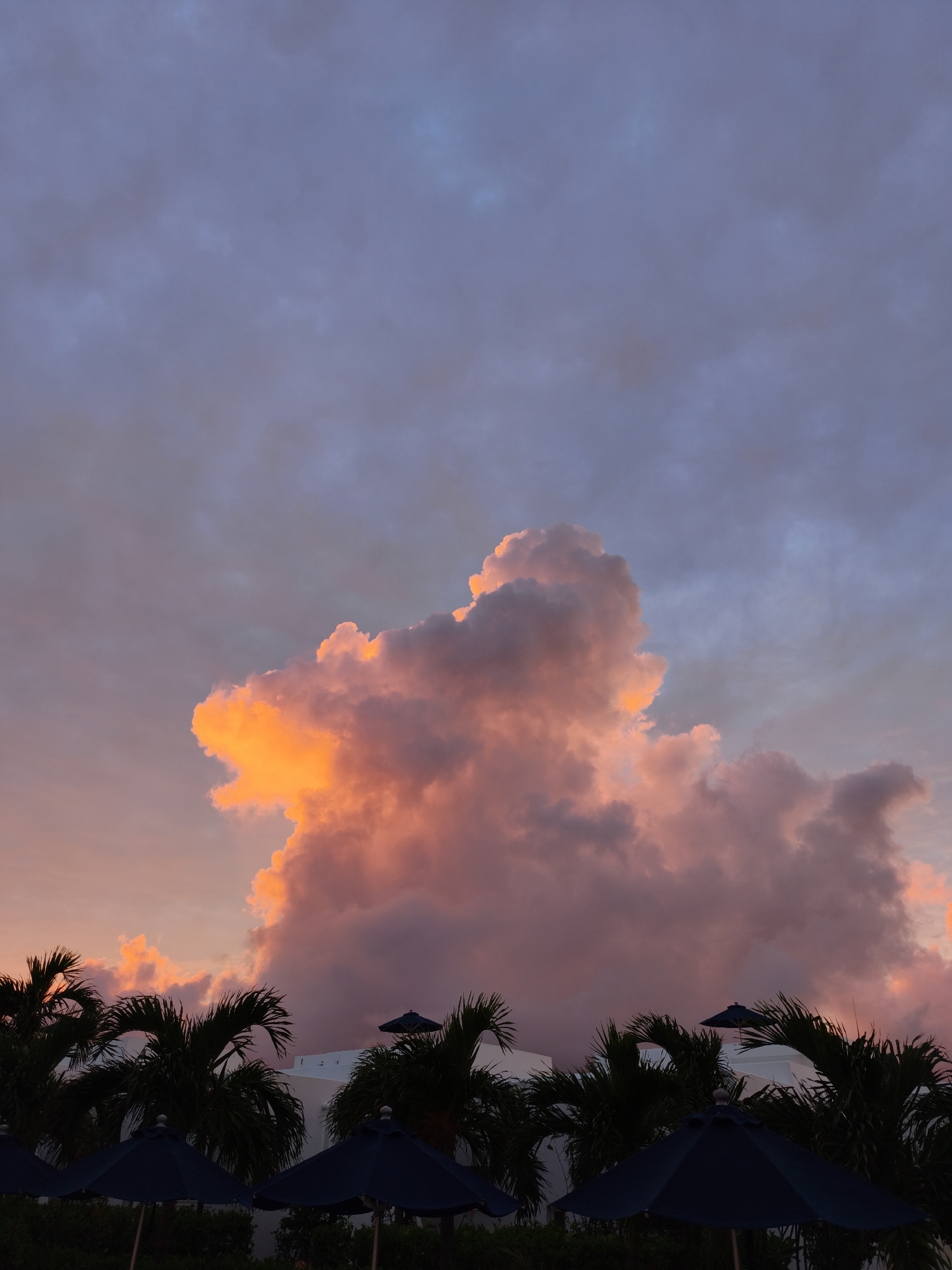 The image depicts a tropical sunset scene. In the foreground, dark silhouettes of palm trees and several open, dark blue umbrellas are visible against a backdrop of white structures. The sky is filled with dramatic clouds, illuminated by the setting sun. The clouds exhibit a vibrant gradient of colors, ranging from bright orange and pink in the center to softer purples and blues towards the edges. This atmospheric display suggests the image was taken at dusk. The context of Miyakojima, Japan, known for its beautiful beaches and tropical climate, aligns with the visual elements present in the photograph.