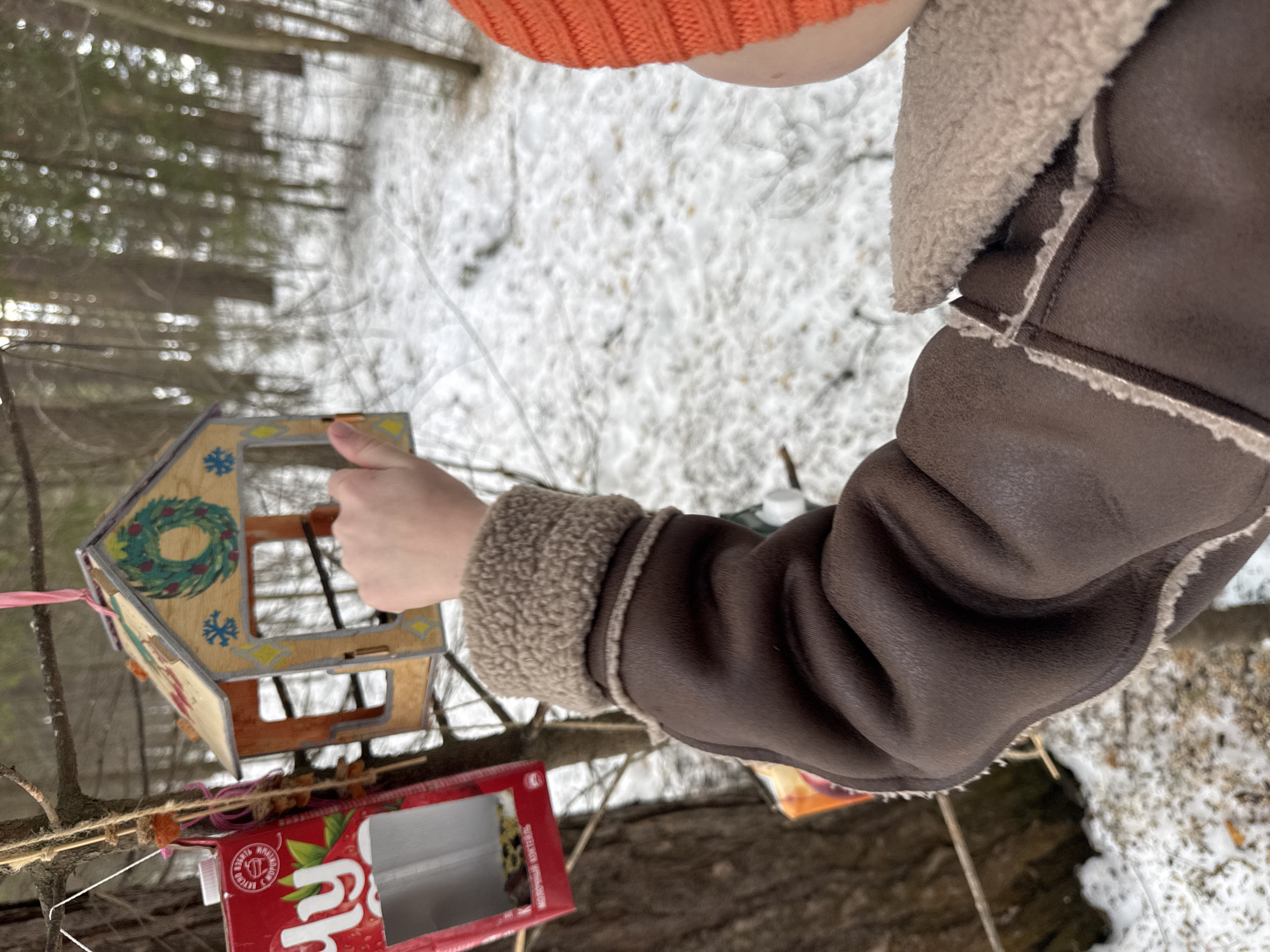 The image depicts a snowy scene, possibly in Votkinsk, Russia, although specific confirmation of the location is not discernible from the image alone. An individual, identifiable by their orange knitted hat and brown faux-shearling trimmed jacket, is positioning a small, decorated wooden birdhouse. The birdhouse, hanging by a pink string, features painted decorations including a wreath and snowflakes. Below, a red juice box has been repurposed into a makeshift feeder, strung with additional items on a branch. The background reveals a wintry forest setting with snow on the ground and bare trees.