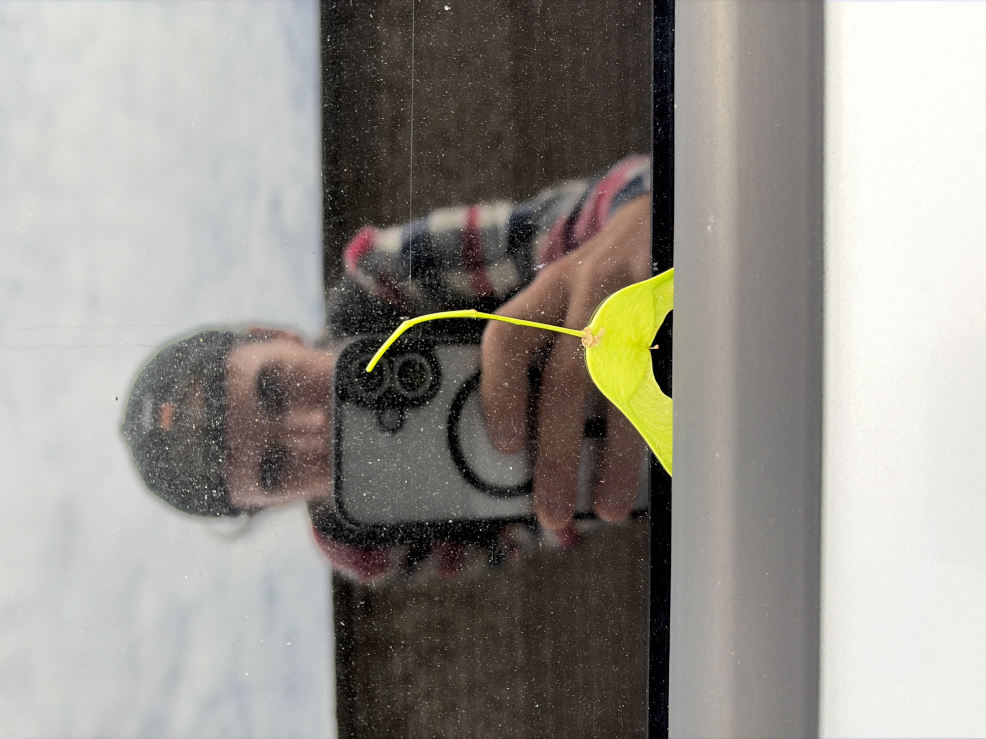 A reflection in a dusty glass surface shows a person taking a selfie with a smartphone. The person is wearing a baseball cap and a plaid shirt. In the foreground, a bright yellow, wing-like seed is attached to the glass by a small piece of pink material. The background is out of focus, appearing as a light gray sky with some cloud formations. Below the glass surface is a dark gray, horizontal band followed by a white surface. The location is not specified.