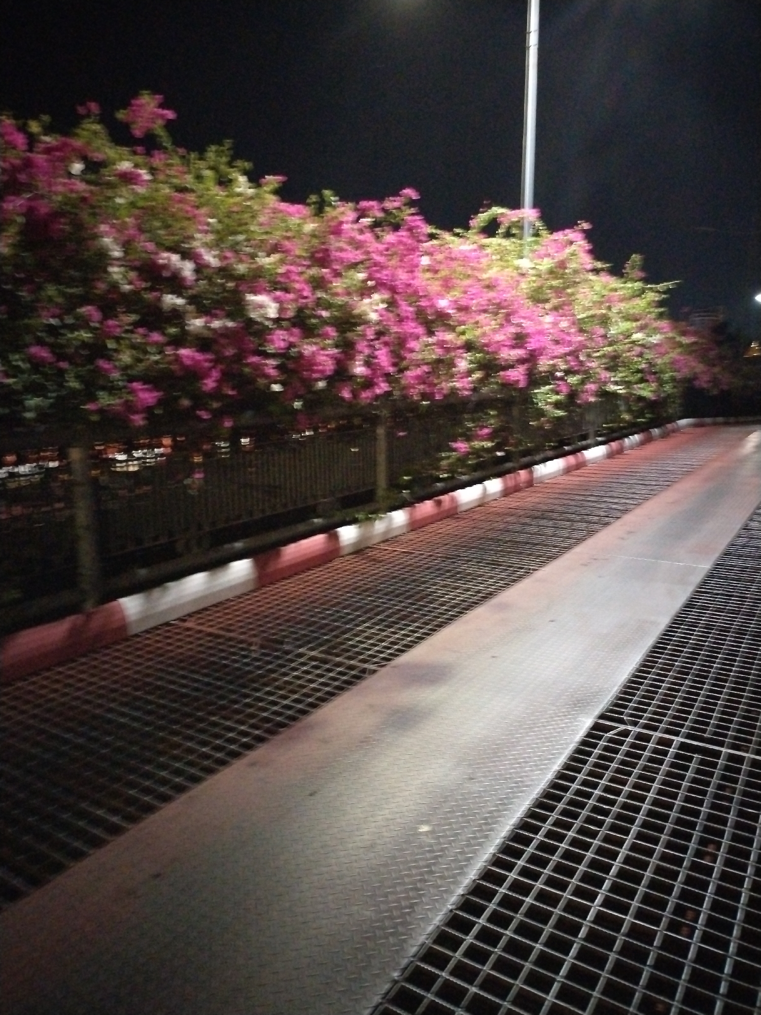 The image depicts a nighttime scene likely located in Bac Nha Trang Ward, Vietnam. A metal grating and a smooth metal platform run horizontally across the foreground. Alongside the grating is a low barrier with alternating red and white sections. Beyond the barrier, a row of trees with pink and white flowers stands. A few streetlights are visible, illuminating the scene. The background is dark.