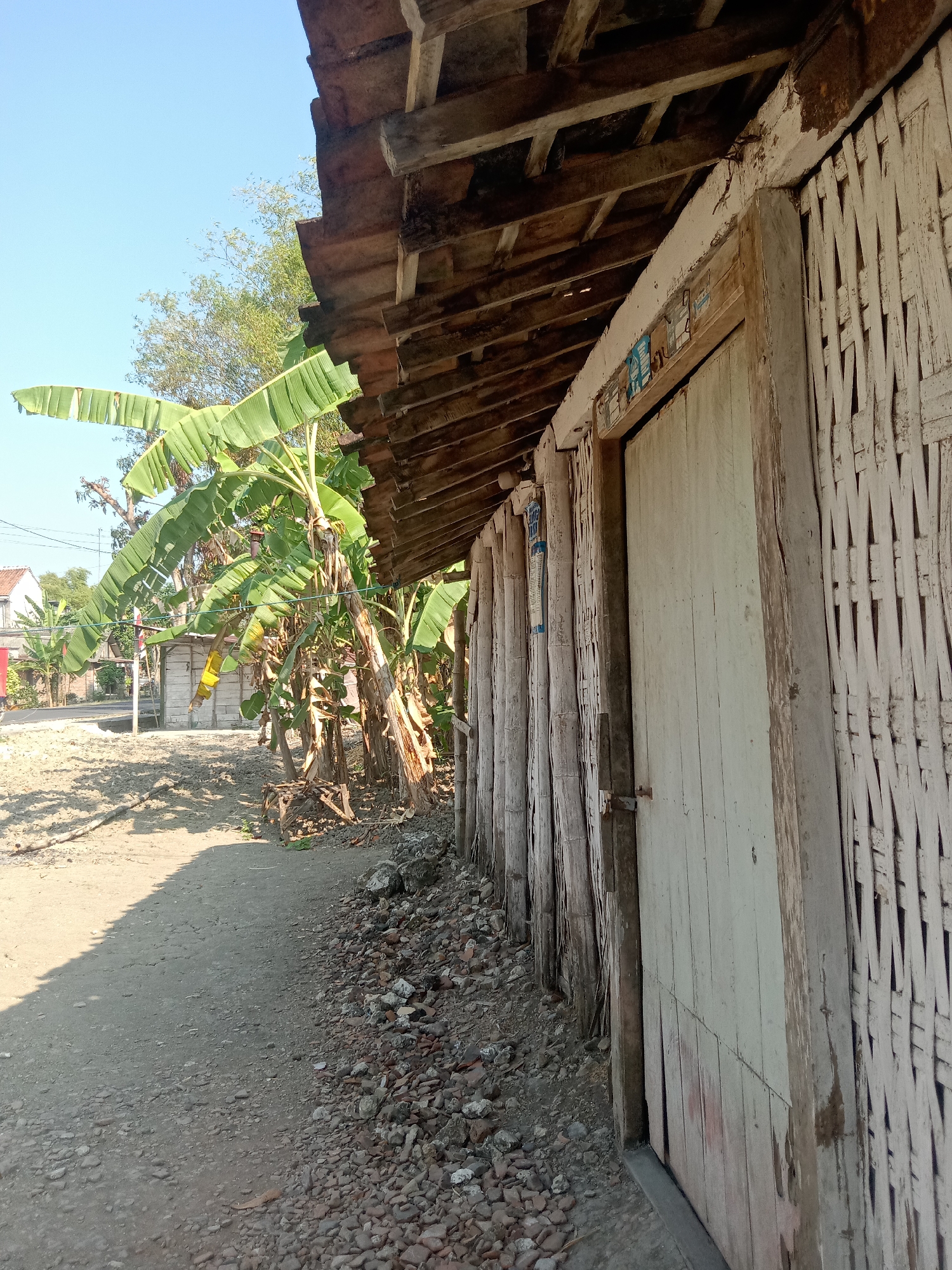 The image depicts an outdoor scene in Tegalkodo, Indonesia. In the foreground, a dirt path is visible on the left, with a pile of gravel and rocks along the right edge. A rustic wooden building with a corrugated tile roof occupies the right side of the frame. The building's walls appear to be constructed from bamboo poles and woven material, with a weathered, light-colored wooden door. Adjacent to the building, to the left, is a cluster of banana trees with large green leaves. In the background, a road can be seen, with more buildings and trees further in the distance. The sky is clear and blue. The overall impression is of a simple, rural or semi-rural setting.