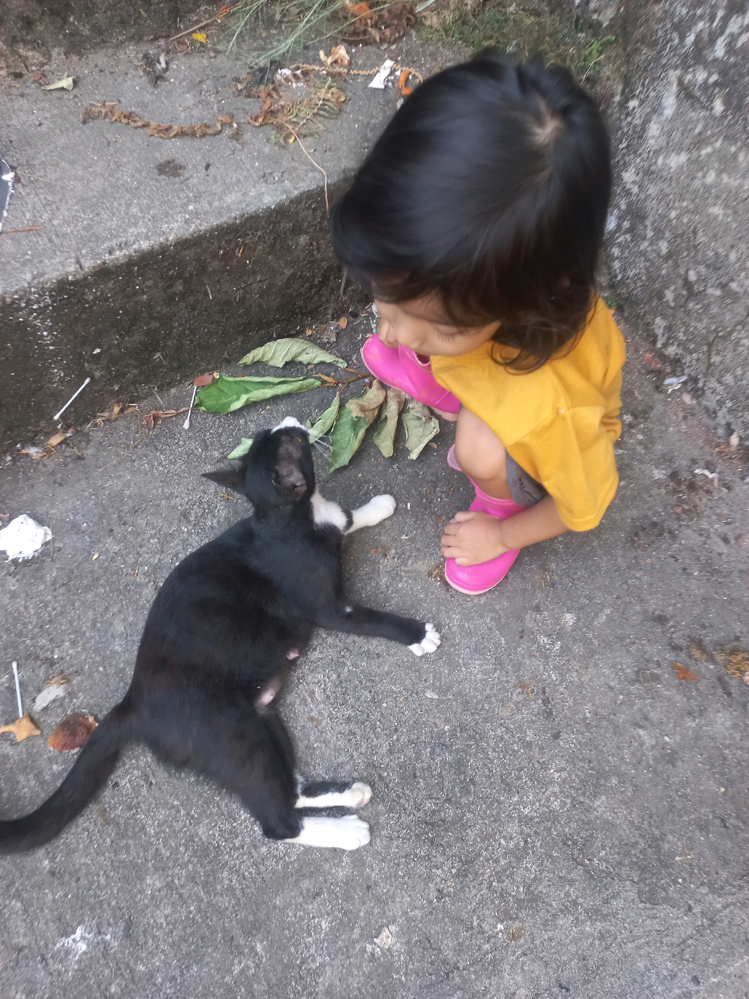 A high-angle shot shows a young child wearing a yellow shirt and pink rain boots crouched down towards a black and white cat lying on its side on a concrete surface. The child's face is partially obscured by their dark hair, and they appear to be looking at the cat. The cat is positioned to the left of the child and is looking up. Green leaves are scattered around the cat and child. In the background, concrete steps lead up to a grassy area with scattered debris. The scene appears to be an outdoor area, possibly a pathway or yard, in Sukoharjo, Indonesia.