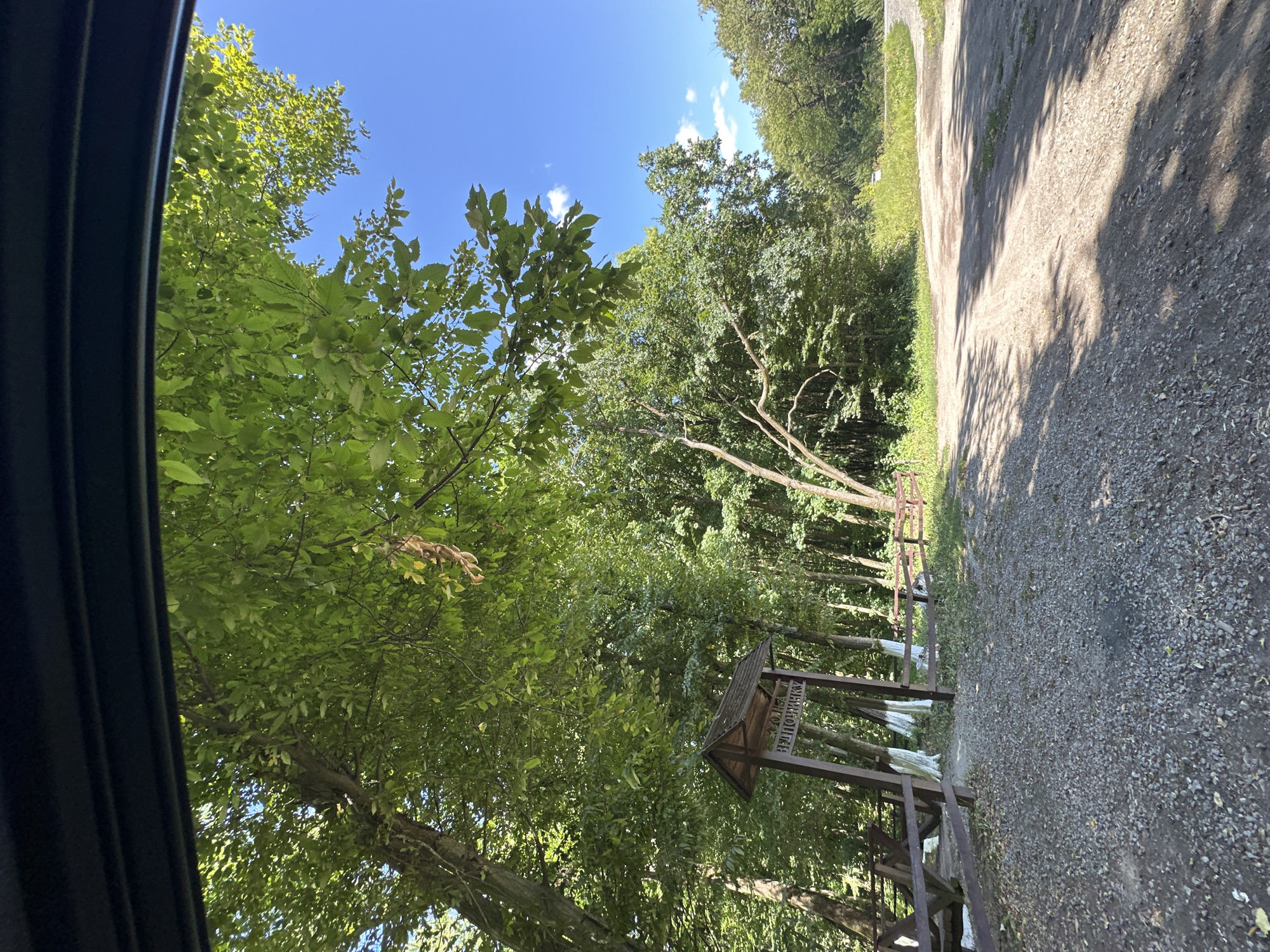 This is a medium shot taken from inside a vehicle looking out at a wooded area. A gravel road curves into the distance, casting long shadows from the trees. To the left, a wooden picnic table and bench are visible, partially obscured by a wooden fence and a brown wooden signpost with white writing. The sign is topped with a small wooden roof. Beyond the sign, the trees are dense and green, with sunlight filtering through the leaves. The sky is a clear, bright blue with a few scattered white clouds. The overall impression is of a natural, outdoor setting, possibly a park or recreational area, within the city of Shatava, Ukraine.
