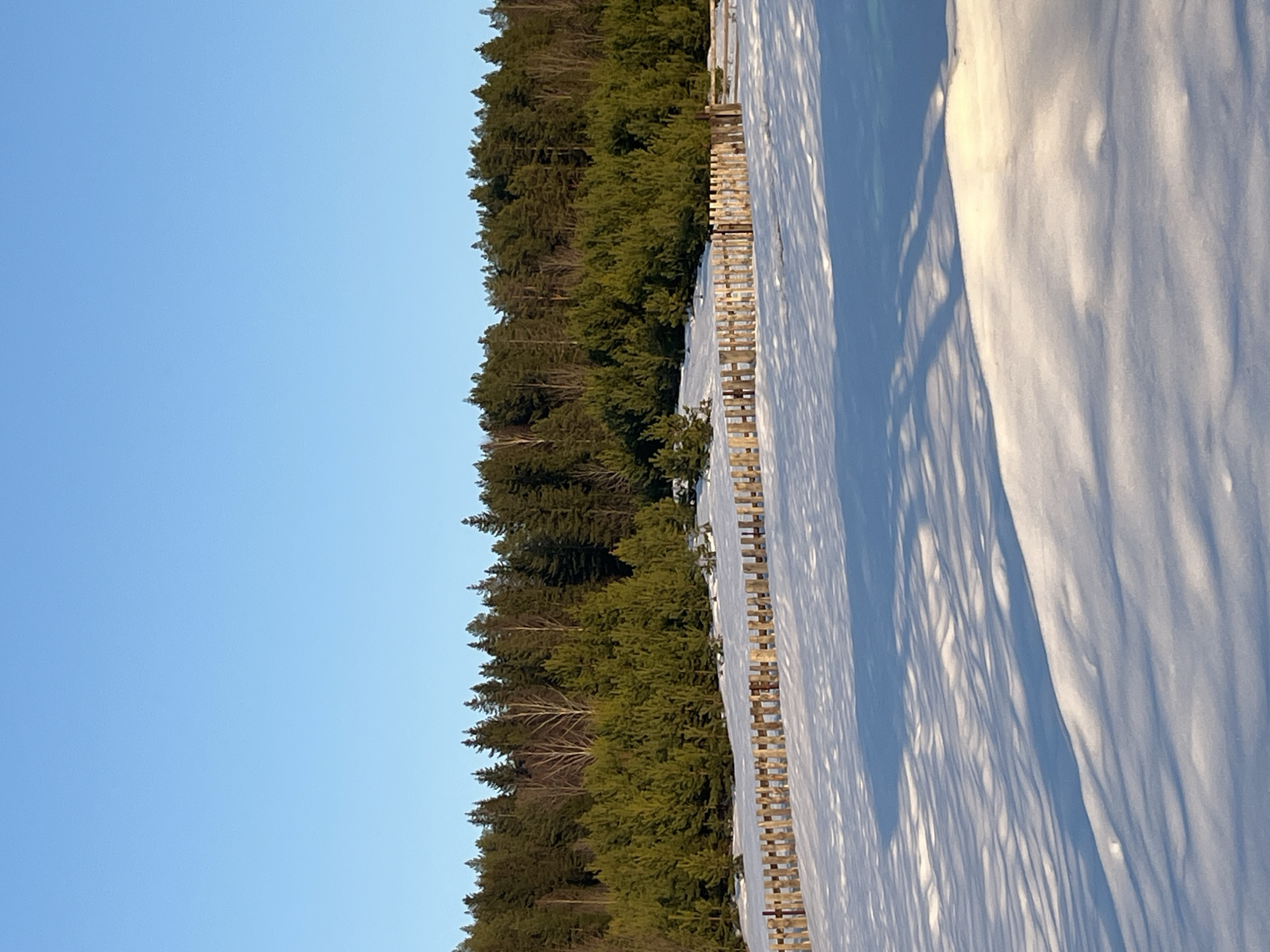 The image depicts a winter scene in Большой Букор, Russia. A dense evergreen forest borders a snow-covered field or open area. A wooden fence runs along the edge of the forest, separating it from the snow-covered ground. The snow is pristine and unmarked except for the shadows of trees and other objects. The sky is a clear, light blue. There are no people or animals visible in the image.