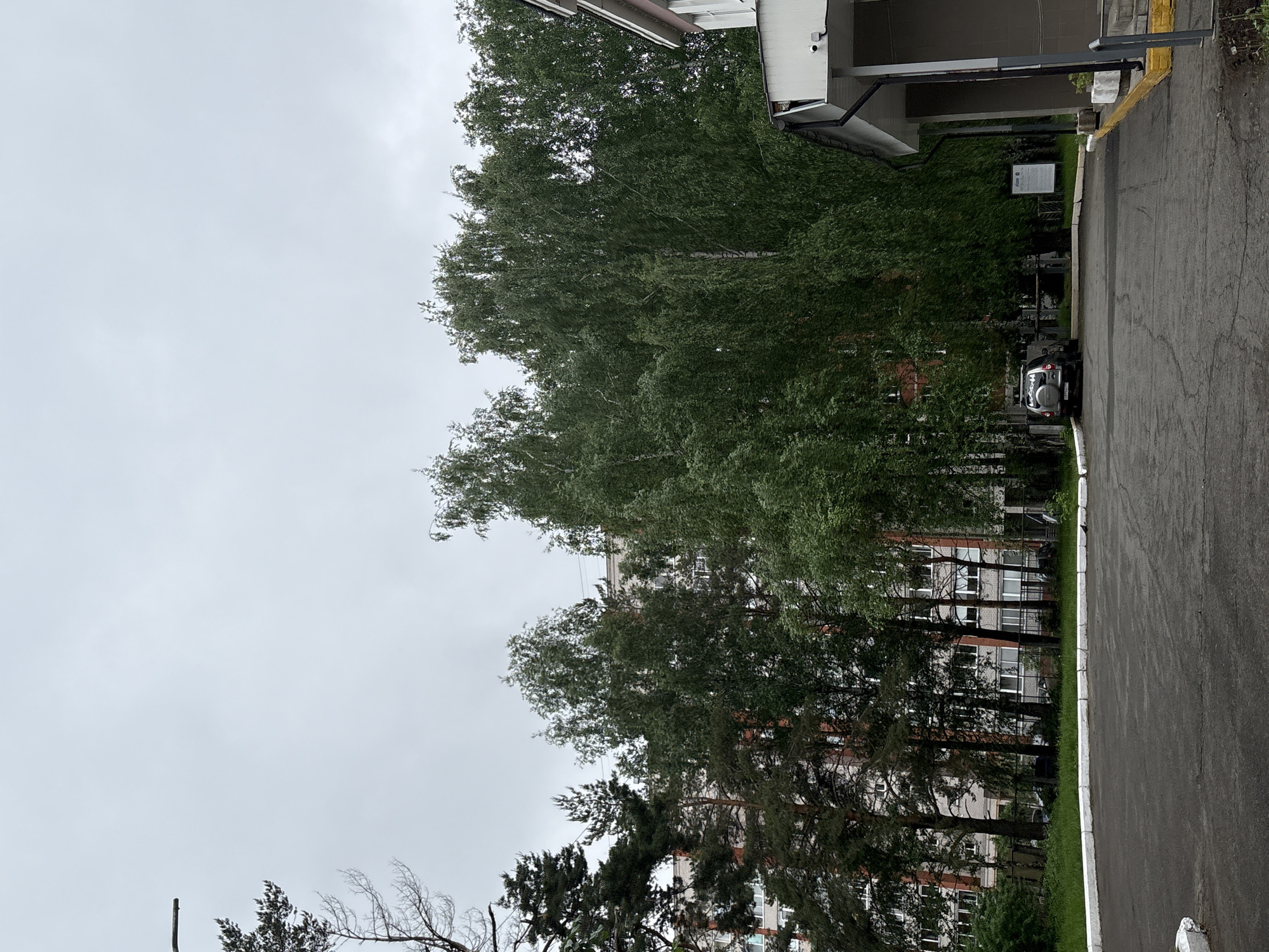 The image depicts an overcast day in Chaikovsky, Russia. A gray asphalt road runs along the right side of the frame, bordered by a narrow strip of green grass. To the left of the road, a line of trees obscures a multi-story building with red brick accents and white-framed windows. A dark-colored SUV is parked near the right edge of the trees, facing away from the viewer. In the upper right corner, a portion of a white building with a gray overhang is visible. The sky is uniformly gray, and the overall atmosphere is muted and somewhat bleak.