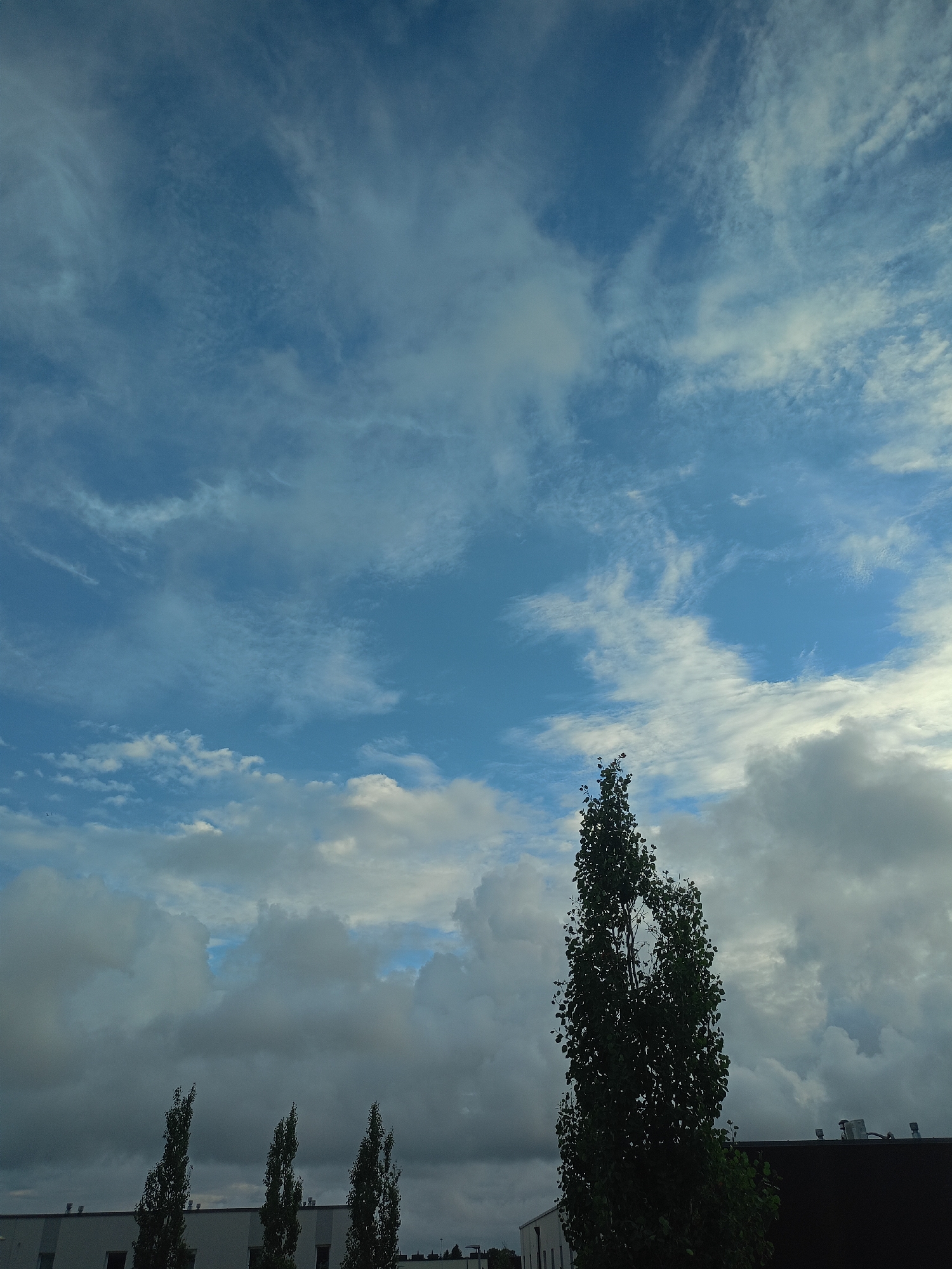 The image shows a cloudy sky over Peetri alevik, Estonia. The sky is a mix of blue and gray clouds, with some wispy cirrus clouds present. In the foreground, there are several tall, slender trees with dark green leaves. To the left, a building with a white facade and dark windows is visible, likely an industrial or commercial structure. To the right, another building with a dark roof and some visible vents or fixtures can be seen. The overall scene depicts an outdoor environment, possibly a park or an area with scattered trees near buildings, under a dynamic sky. There are no people or animals visible in the image.