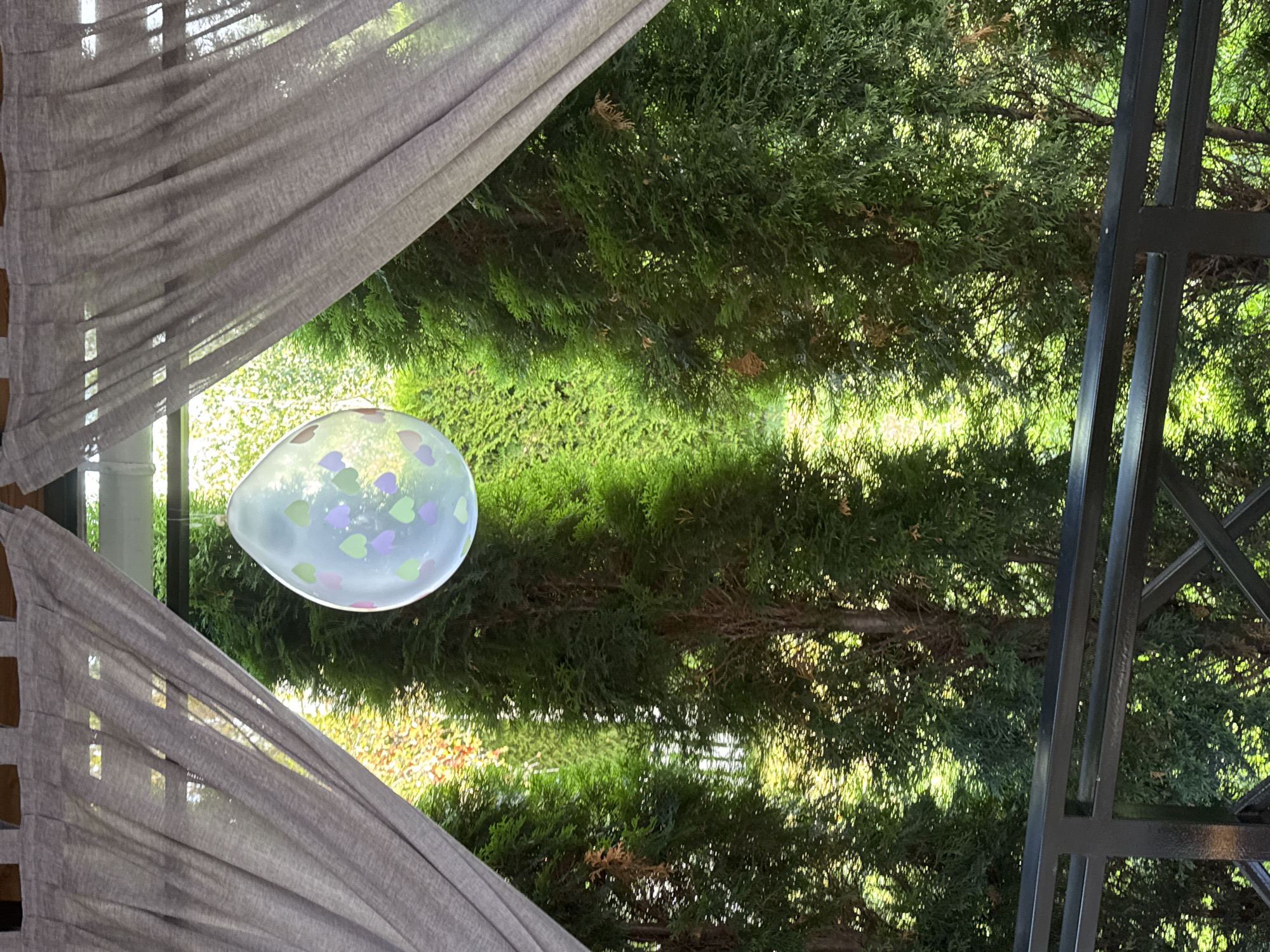 A partially transparent balloon, decorated with small purple and green heart shapes, is suspended in the center of the frame, illuminated by sunlight filtering through lush green trees and grey curtains. The background consists of dense evergreen trees and foliage, with some of the leaves appearing yellow, indicating autumn. A black metal railing runs horizontally across the bottom of the image, suggesting an outdoor setting, possibly a balcony or patio. The scene is likely located in Sary-Oy, Kyrgyzstan, given the presence of coniferous trees and the characteristic natural scenery of the Issyk-Kul region.