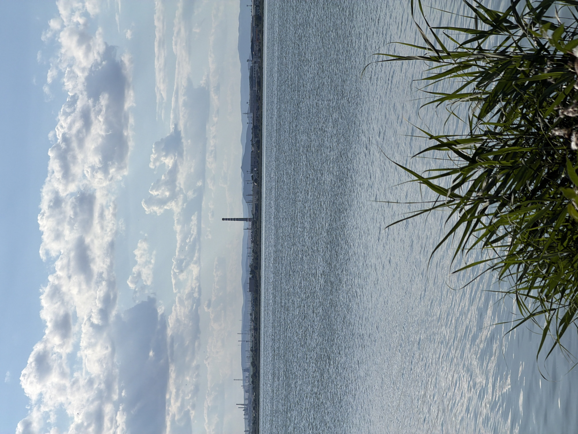 The media file displays a picturesque scene of a body of water, possibly a lake or the sea, with the shoreline and a distant industrial landscape visible. The water's surface is rippled, reflecting the bright, cloudy sky. In the foreground, tall, green reeds or grasses are swaying, adding a natural element to the composition.
The sky is filled with dramatic, puffy white clouds against a pale blue backdrop, suggesting a day with dynamic weather, possibly late afternoon or early evening given the quality of light. The shoreline features a line of buildings and structures, including what appears to be a tall industrial chimney, hinting at a settled or industrial area. In the distance, rolling hills or mountains form a hazy horizon.
There are no people visible in the media file. The overall mood is serene and contemplative, highlighting the contrast between the natural elements of water and vegetation and the man-made structures on the horizon. The image appears to be taken at eye level, looking across the water. The lighting suggests it is daytime, with the sun positioned somewhere to the right, casting reflections on the water. No text is visible in the image. The location context is Burgas, Bulgaria, which aligns with the coastal or lakeside industrial scenery.