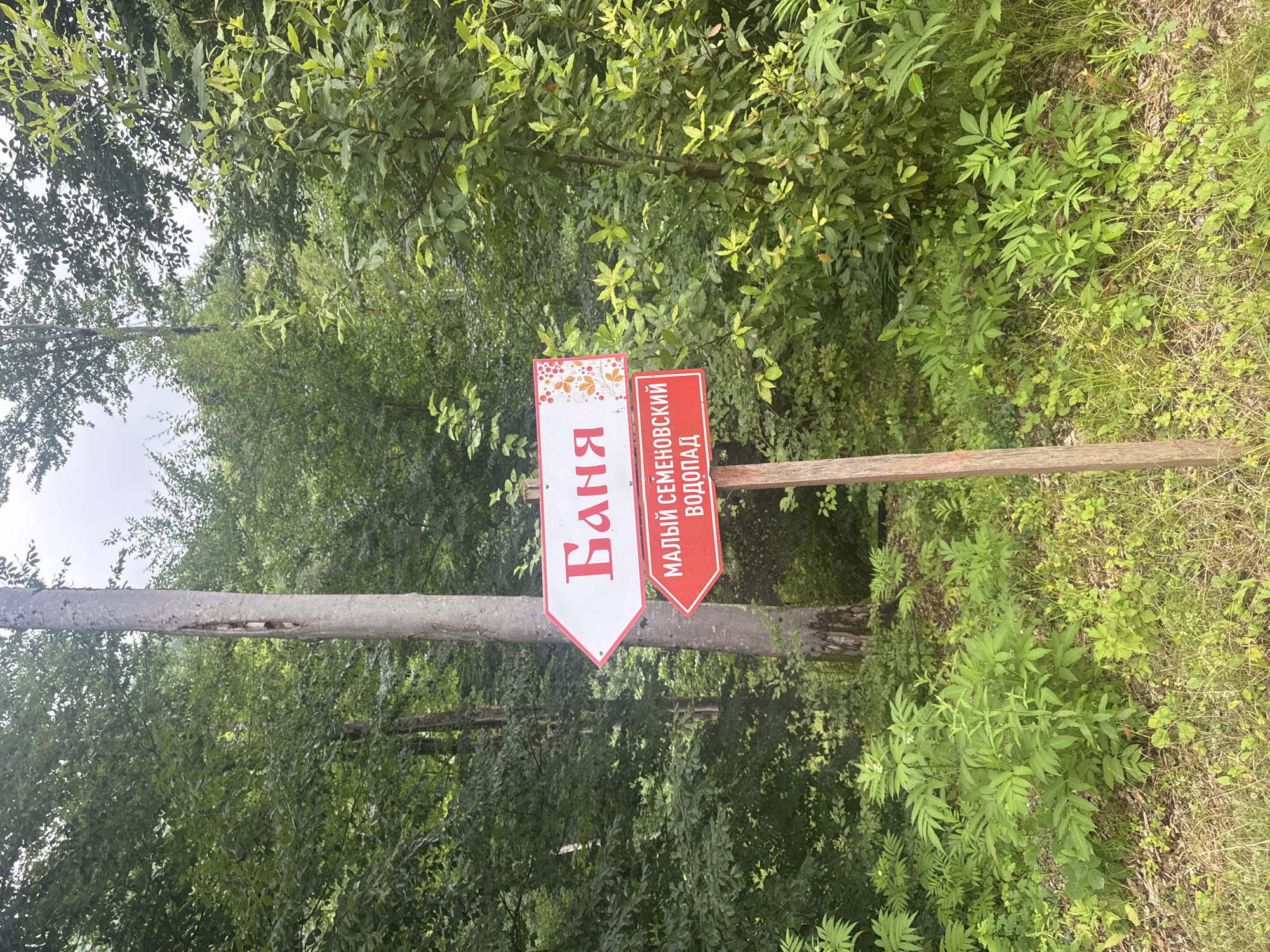 A directional signpost stands in a forest clearing. The signpost is made of wood and has two signs. The upper sign is white with red lettering and points to the left, reading "Баня" (Banya), which translates to "Bathhouse". The lower sign is red with white lettering and points to the left, reading "МАЛЫЙ СЕМЕНОВСКИЙ ВОДОПАД" (Malyi Semenovsky Vodopad), which translates to "Small Semenovsky Waterfall". The signs are decorated with a pattern of red and orange berries and leaves. The background is dominated by lush green trees and vegetation, suggesting a natural, possibly rural or park-like setting. The overall impression is of a well-maintained pathway leading to attractions within a forested area near Semenovka, Russia. There are no people visible in the image.