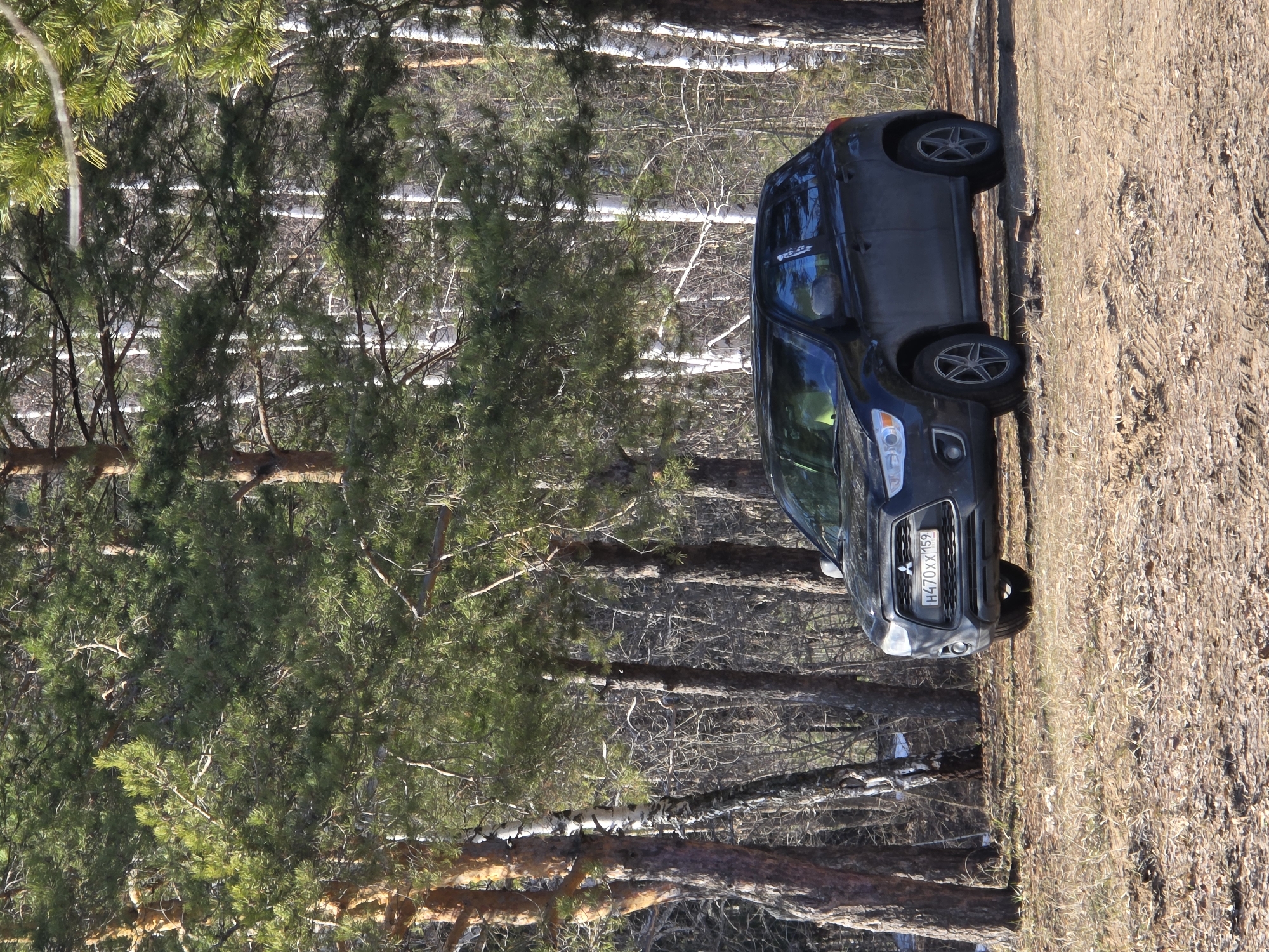 The image shows a dark-colored Mitsubishi parked on a dirt road alongside a forest with a mixture of pine and birch trees. The ground is covered with dry grass and leaves. The license plate on the car reads "H470XX159," indicating the vehicle is registered in the 159th region of Russia, which is the Perm Krai. The location is likely in a rural or forested area near Noviy, Russia, possibly on the outskirts of the city. There are no people visible in the frame.