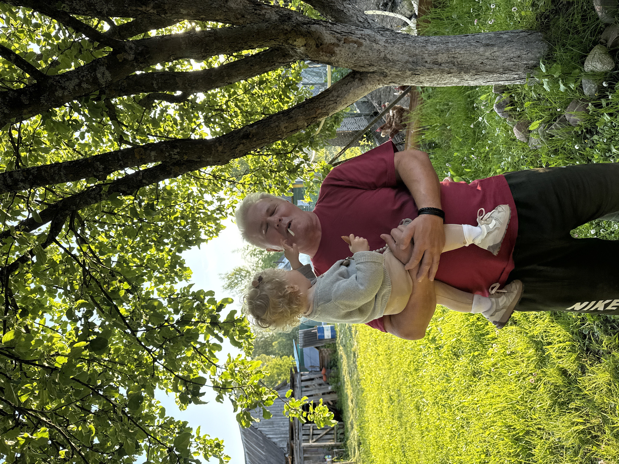 An outdoor scene captured in bright daylight shows an adult man holding a young child under the canopy of a large tree with abundant green leaves. The man, with white hair, is wearing a red short-sleeved shirt and dark pants, on which the white "NIKE" logo is visible on his left leg. He has a lit cigarette in his mouth and a black bracelet on his left wrist.
He is holding a young child, likely a toddler, who has curly blonde hair and is dressed in a light-colored long-sleeved top and light bottoms. Both the man and child are wearing light-colored athletic shoes. The child is positioned with their back mostly towards the viewer, being cradled by the man.
The setting is lush and green, with a vibrant grassy ground featuring small white flowers. In the mid-ground and background, there is a rustic wooden structure, possibly a shed or barn, and a chicken coop with chickens visible inside. A blue barrel can also be seen near the wooden building. Bright sunlight filters through the tree's dense foliage, creating a dappled light effect. The scene depicts a casual, relaxed moment in a rural or semi-rural environment, consistent with a location like Красный Маяк, Russia.