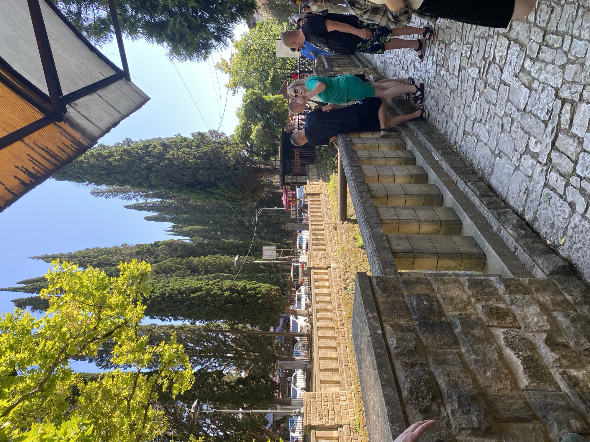 A group of people are standing by a stone railing on a cobblestone path, in front of a row of tall cypress trees and some buildings. The weather appears to be sunny. One man in a black t-shirt and shorts leans over the railing, facing away from the camera. Next to him, a woman in a green top and shorts gestures with her hand. Another man in a black t-shirt and shorts stands beside her, looking towards the woman. Further down the railing, another man in a black t-shirt and patterned shorts stands facing away from the camera. Several cars are parked in the background behind a fence. The scene is set in a public outdoor area, possibly a park or a tourist attraction.