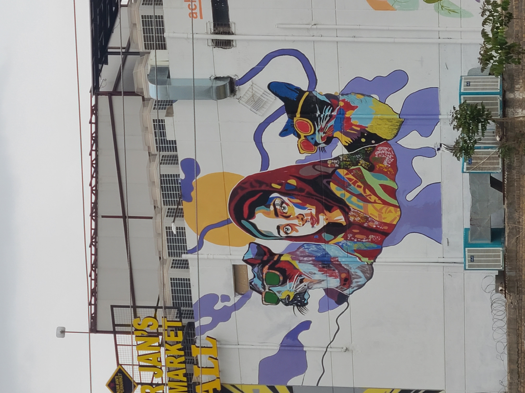 The image shows a building in Quetta City Tehsil, Pakistan, with a large mural painted on its side. The mural depicts a woman's face with vibrant colors and abstract patterns, positioned above two cats wearing sunglasses. The cats are also rendered in bright, contrasting colors. A yellow sun is depicted behind the woman's head. The building is white with multiple windows. At the bottom of the image is a partial view of a sign reading "Bazar Jan's Market." Air conditioning units are visible on the right side of the building. The sky appears overcast.
