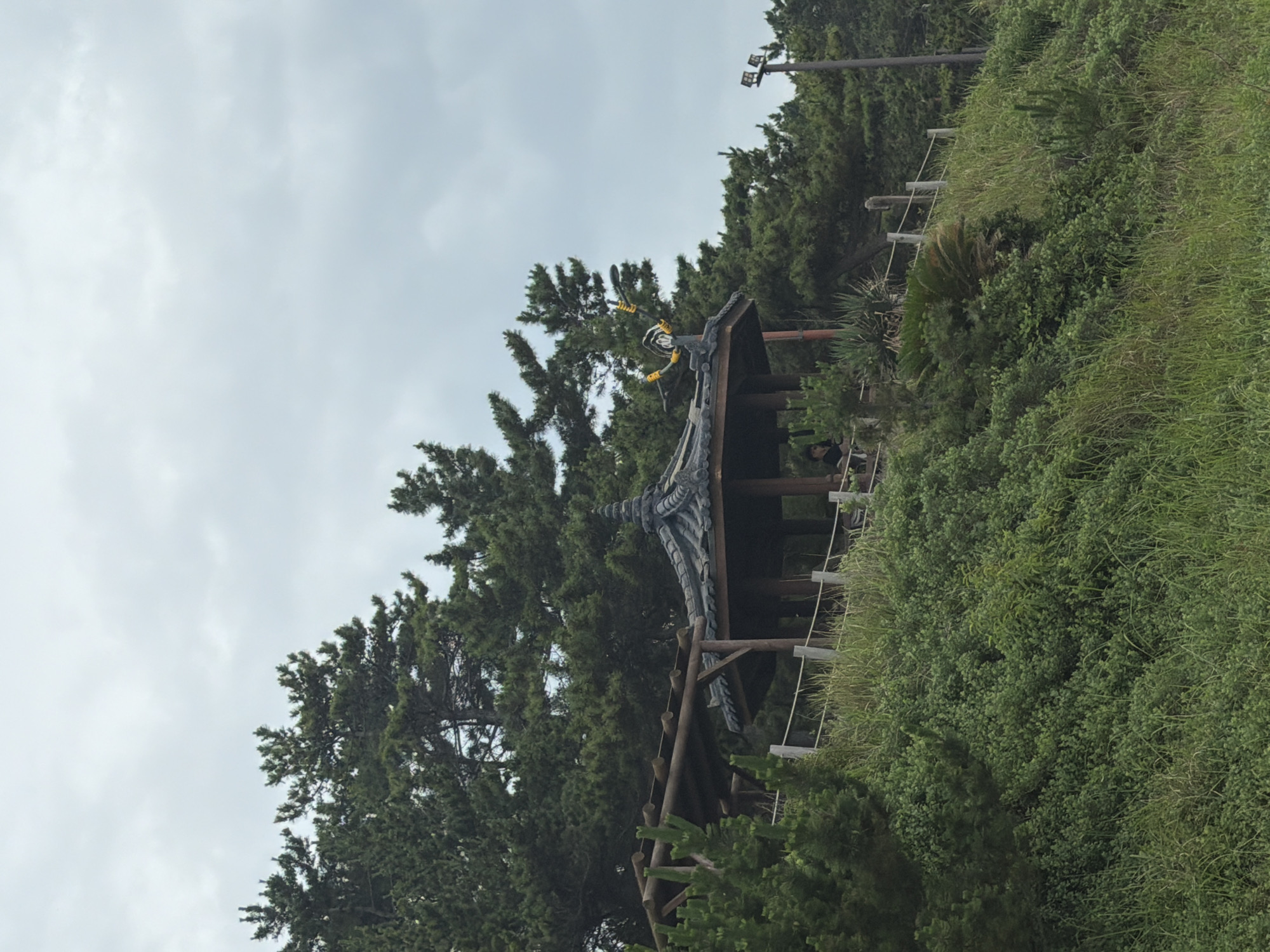 The image depicts a gazebo-like structure with a dark, tiled roof situated amidst lush greenery and tall pine trees on a slightly overcast day. The structure is supported by wooden beams and features an open-air design. A fence, constructed with wooden posts and rope, runs along the edge of the elevated area where the gazebo is located.
On top of the gazebo's roof, a decorative element resembling a bird with yellow accents is visible. Below the gazebo, a person is seated, partially obscured by the structure. In the background, to the right of the gazebo, a lamppost with two lights is present. The surrounding environment is characterized by dense vegetation, including bushes, grass, and the prominent pine trees that form a dense canopy. The overall scene suggests an outdoor recreational area or a scenic viewpoint.
Without further information or specific landmarks, pinpointing the exact location within Jeju City, South Korea is not possible based solely on the visual content of the image. However, the presence of pine trees and the style of the gazebo might suggest a coastal or mountainous region, common in Jeju.