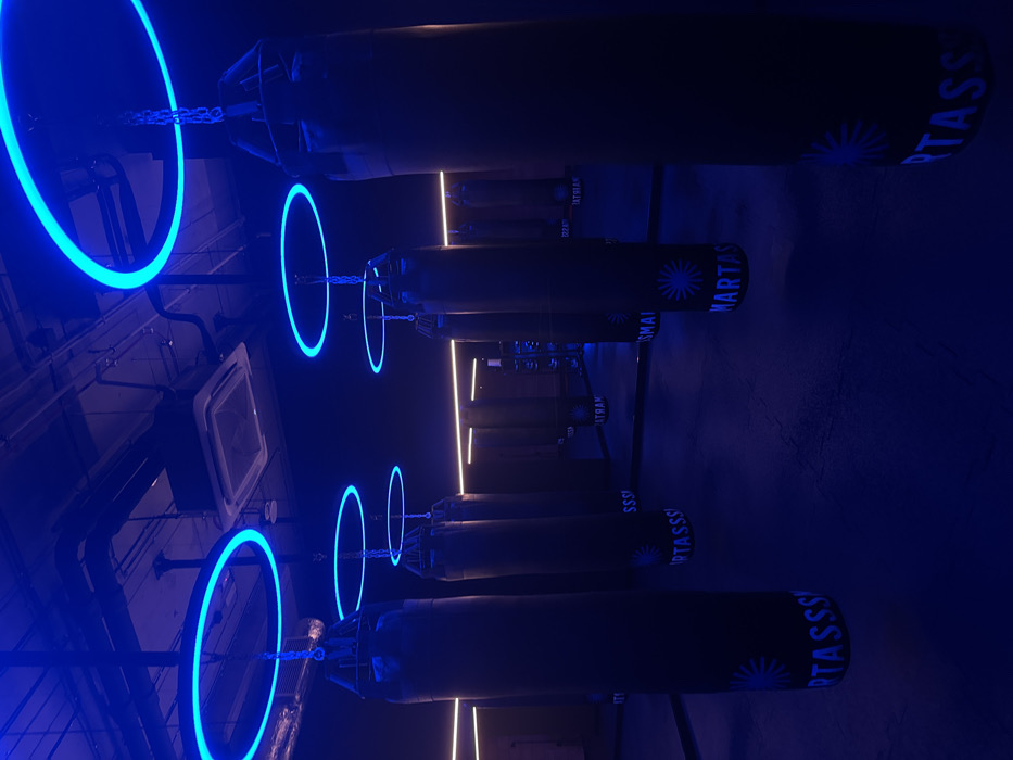 The image showcases a boxing gym's interior, bathed in blue light. Rows of dark punching bags, labeled "MARTASSS," hang from the ceiling, each aligned with a suspended circular neon light. Additional linear light strips run parallel to the bags. Air conditioning equipment and metal piping are visible on the ceiling, emphasizing the industrial aesthetic. The overall scene presents a modern and somewhat futuristic training environment.