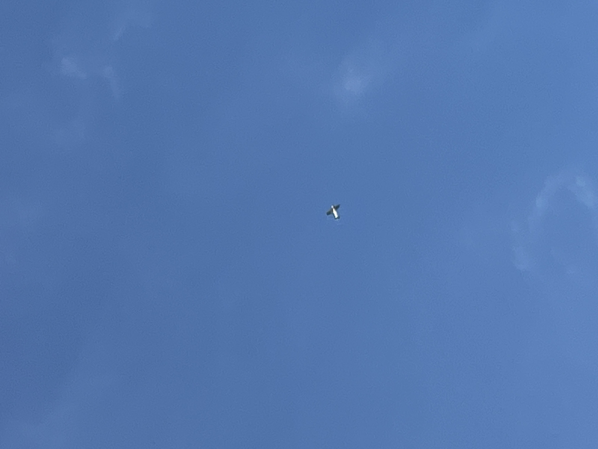 A single airplane is visible in the clear blue sky. The airplane is small and appears to be a propeller-driven aircraft. It is oriented horizontally, with its wings spread. There are no clouds or other objects in the sky. The image was taken in Srednie Pinyachi, Russia.