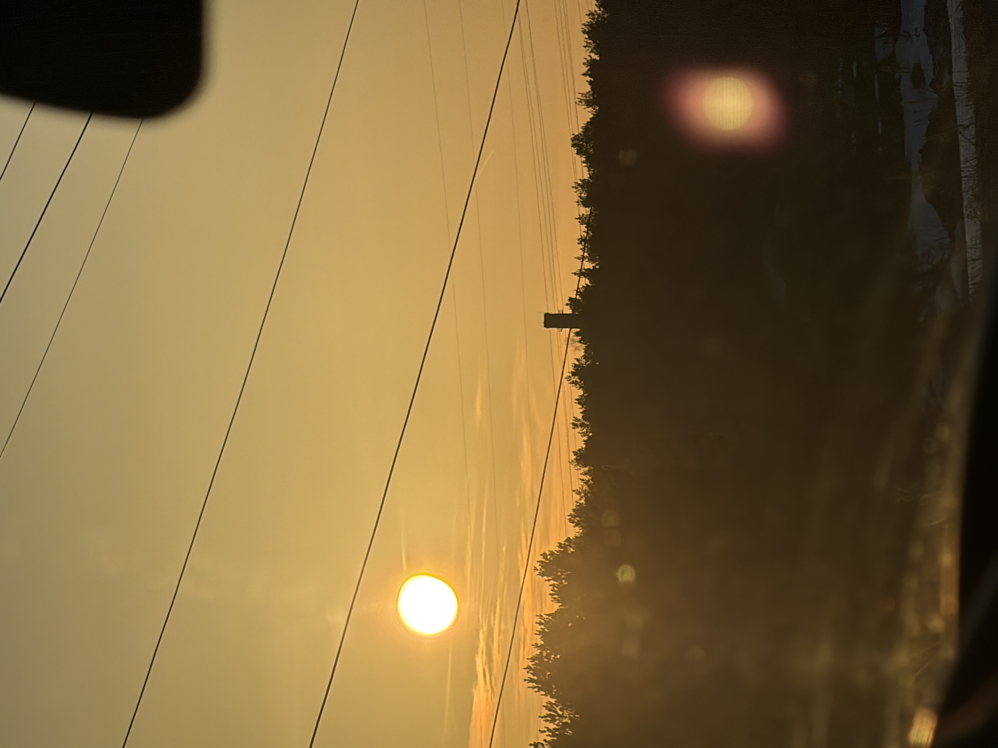 The image depicts an outdoor scene at either sunrise or sunset, viewed from inside a vehicle, in Noviy, Russia. The sky is dominated by a bright golden-orange hue, with a distinct, brilliant white circular sun positioned in the upper left quadrant. Multiple dark, parallel power lines diagonally traverse the sky. A dense, dark silhouette of coniferous trees forms the horizon line across the midground. Above the trees on the right, a dark, rectangular tower-like structure with a flat top is discernible. The immediate foreground shows a blurred, dark surface, consistent with a vehicle's dashboard. A dark, irregular reflection, possibly a rearview mirror or vehicle interior element, is present in the top right corner. Patches of snow and bare ground are visible below the tree line on the right side of the image. Multiple lens flares, including a prominent reddish-yellow elliptical flare, are present in the lower right and midground. No people are depicted.