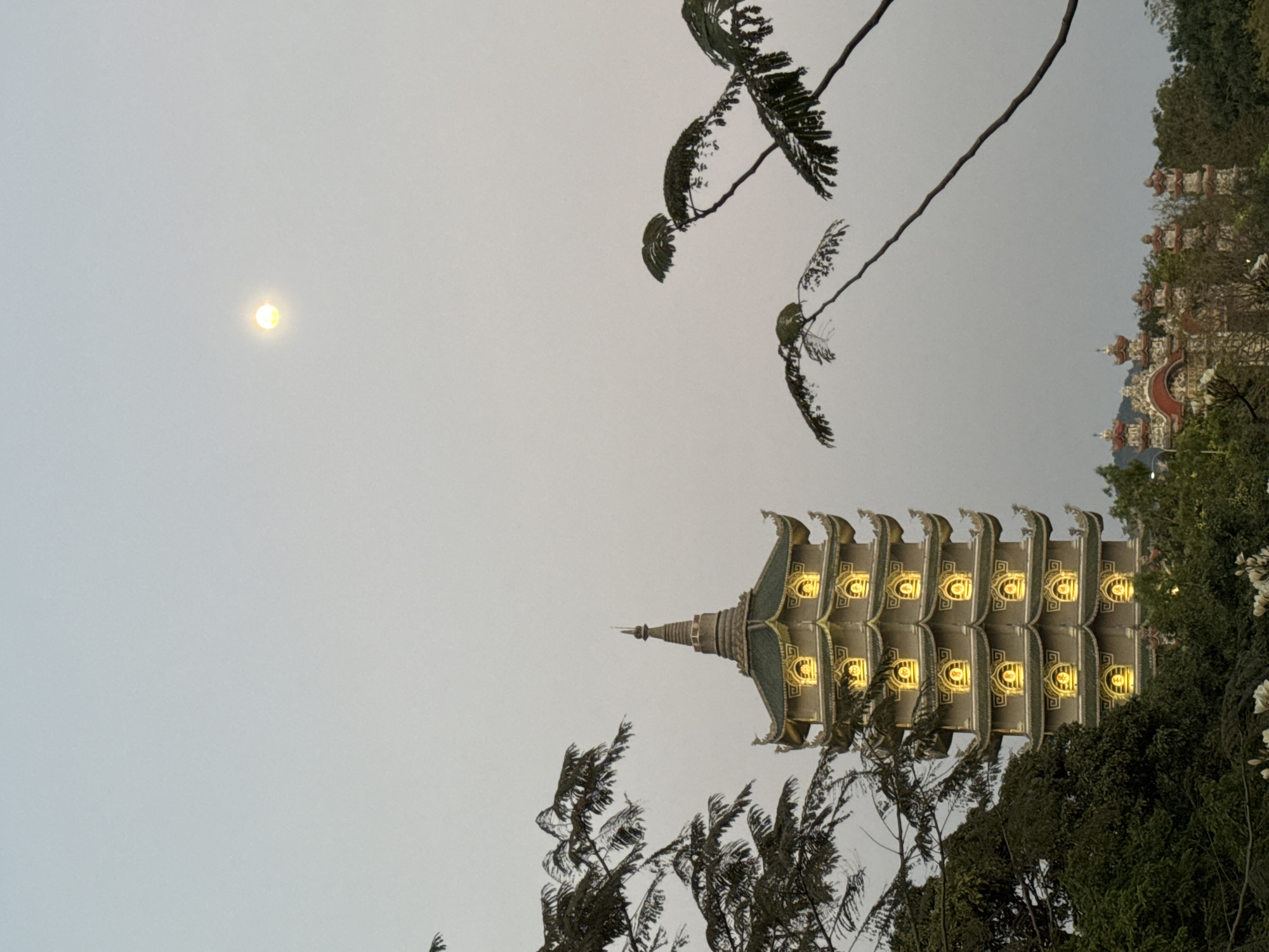 The image captures a view of the Đà Nẵng Pagoda in Đà Nẵng, Vietnam, seen from a low angle, looking up towards the sky. The multi-tiered pagoda, lit with golden lights, is framed by trees and foliage. In the sky, a pale moon or light source is visible. Another building is seen in the background, along with tree branches and palm fronds. The sky is a light grey color.