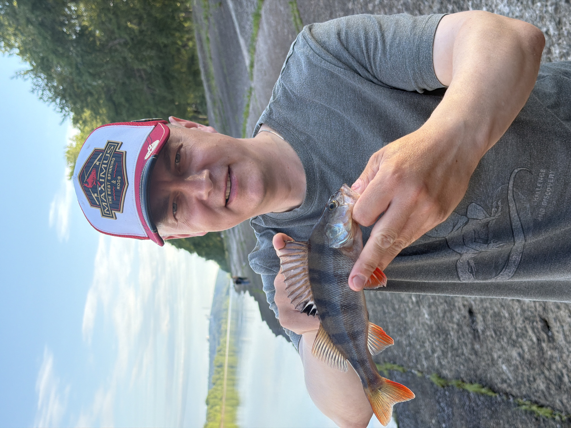 A man wearing a gray t-shirt and a red and white baseball cap with the word "MAXIMUS" and a cardinal on it, holds a small perch with orange fins. The man is standing near a body of water, possibly the Kama River, in Chaikovsky, Russia. The water is calm and reflects the blue sky and green trees on the opposite bank. The ground is covered with large concrete slabs, suggesting a man-made embankment. In the background, two figures are walking along the riverbank. The overall scene depicts a recreational activity, likely fishing, on a clear day.