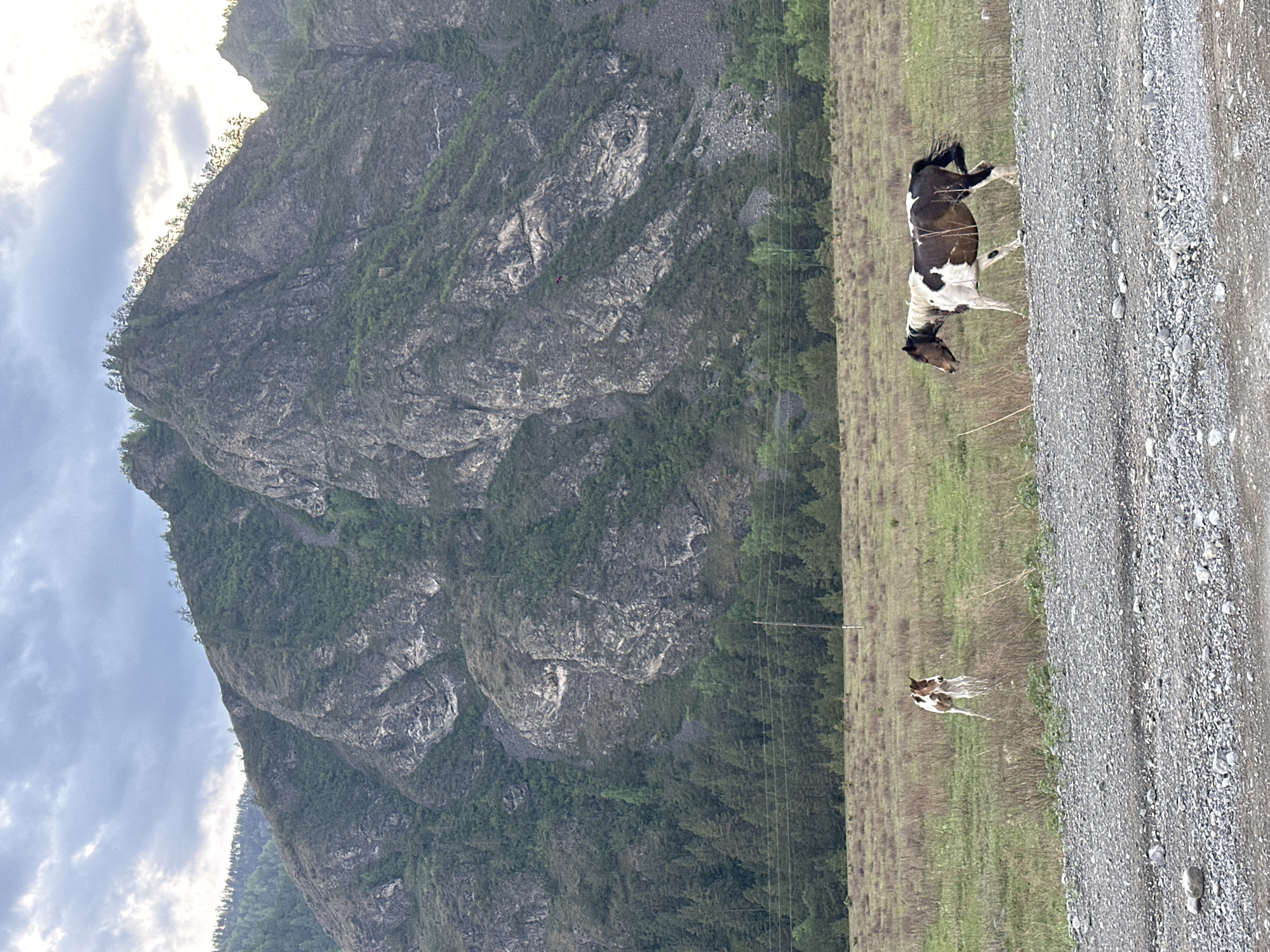 The image depicts a mountainous landscape in Elanda, Russia. A large, rocky mountain dominates the left side of the frame, its surface covered with sparse vegetation. The sky is partially cloudy.
On the right side, a gravel road runs alongside a field of grass. Two horses are visible in the field: one is a larger, piebald horse standing and grazing, and the other appears to be a foal, running. An overhead power line is visible, running parallel with the tree-line and field.