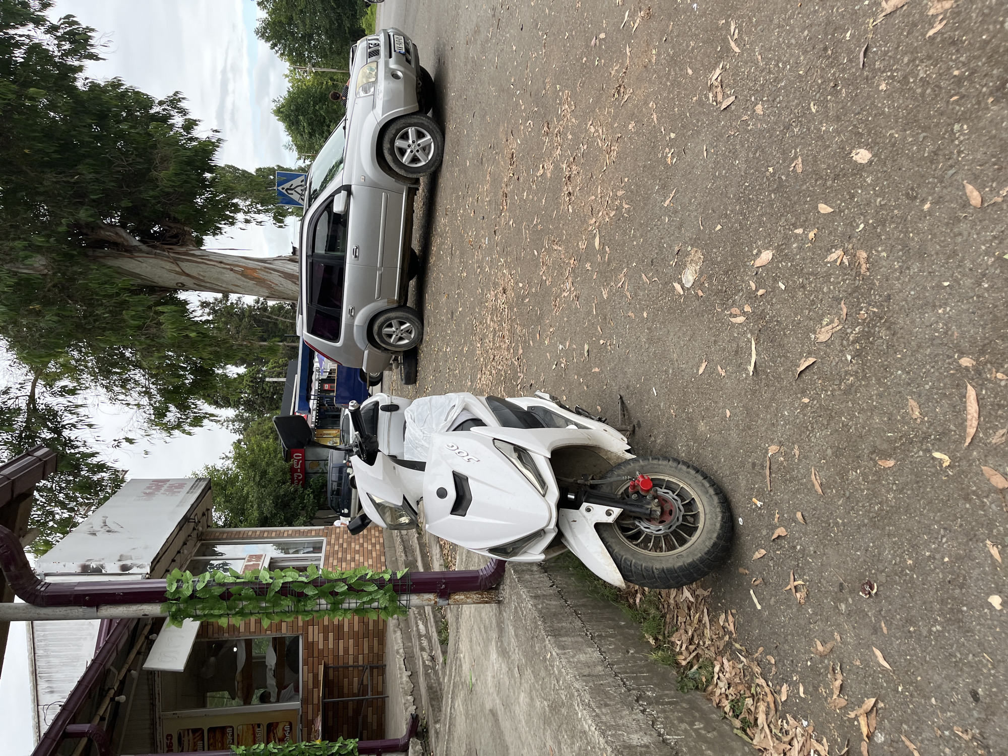 In Ureki, Georgia, a white scooter is parked on a sidewalk next to a building with a brick facade. The scooter has a covered seat and visible wheels. Behind the scooter, a silver SUV is parked on the street. A large tree with peeling bark stands behind the SUV. The ground is covered with fallen leaves. A pedestrian crossing sign is visible in the background. The sky is overcast.