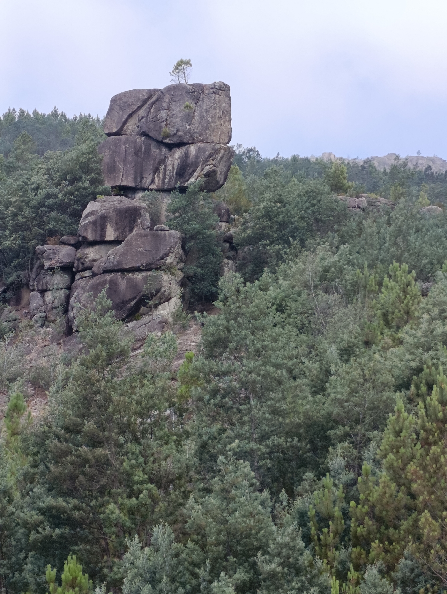 A large, layered rock formation with a single small tree growing from its summit is centrally located in the frame, set against a backdrop of dense green foliage. The rock formation is composed of several massive, weathered boulders stacked atop one another, creating an unusual and imposing silhouette. Below and surrounding the rocks, a thick forest of various trees covers the landscape, creating a lush, natural environment. The sky above is overcast and light gray, suggesting a cloudy or hazy day. This scene is located in the municipality of Terras de Bouro, Portugal, a region known for its natural beauty and granite formations.
