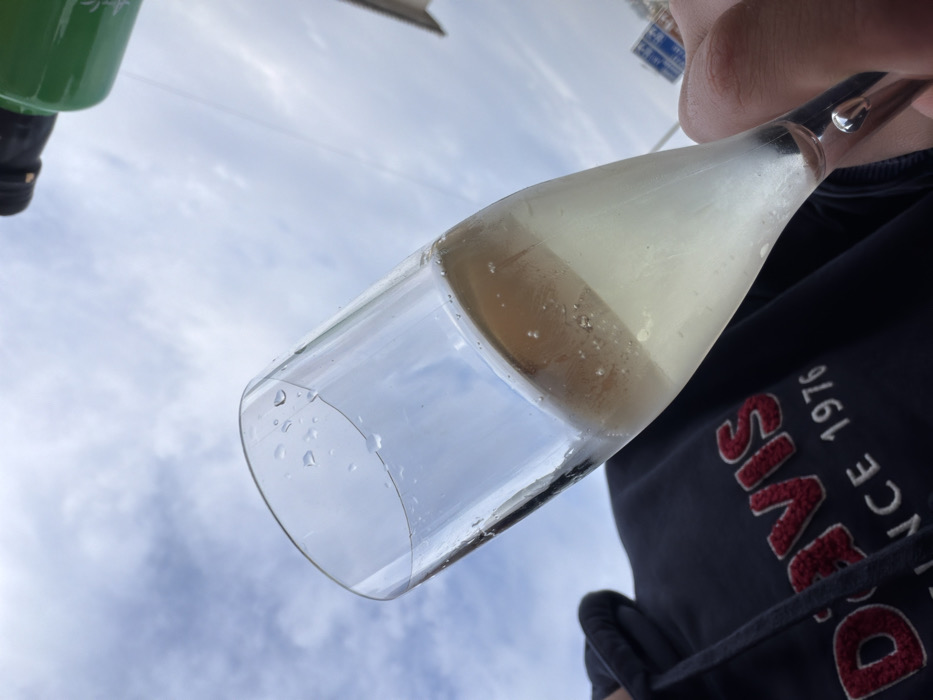 A clear champagne flute, approximately half full with a pale yellow, effervescent liquid, is held by a human right hand. Water droplets are present on the exterior rim of the glass, and numerous bubbles are visible within the liquid. The individual holding the glass wears a dark-colored hoodie with "D'AVIS SINCE 1976" embroidered in red and white text on the chest. The background consists of an overcast sky. A dark green bottle with a black cap is partially visible in the upper right quadrant. A blue road sign with white markings is partially visible in the mid-right background. The scene is located outdoors in the city of Felgueiras, Portugal.