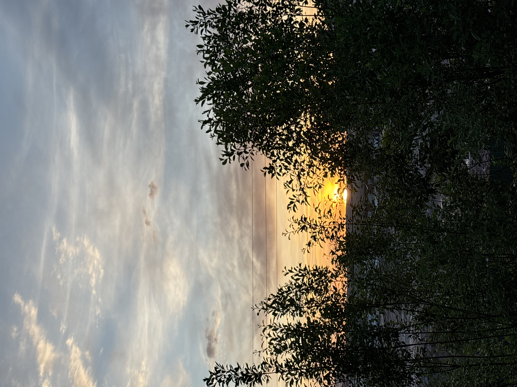 The image depicts a sunset in Chaikovsky, Russia. Wispy clouds dominate the left side of the frame, colored with hints of orange from the setting sun. Silhouetted trees and foliage fill the right side of the frame, partially obscuring the sun. Bare electrical wires cross the sky in front of the sunset. The sun's light creates a bright glow amidst the foliage. The environment appears to be urban, with suggestions of buildings behind the trees. There are no people visible in the scene.