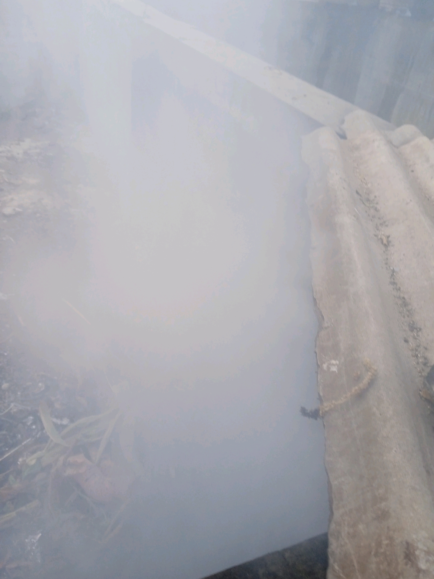 A plume of white smoke billows across a natural surface, obscuring much of the scene. On the right side of the image, a corrugated sheet of material, possibly roofing, lies on the ground. The surface appears to be outdoors, with hints of vegetation and debris visible beneath the smoke on the left. The scene suggests an area outdoors in Probolinggo, Indonesia, where smoke is present, potentially from a fire or controlled burning.