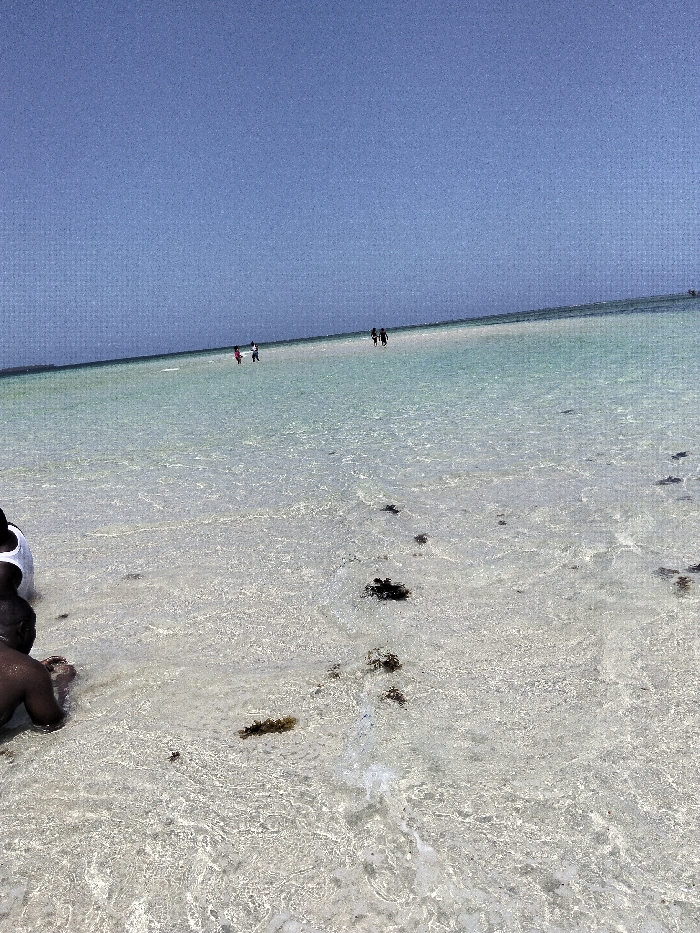 The scene depicts a shallow beach area in Wasini, Kenya, under a clear, light blue sky. In the immediate foreground, to the left, two individuals are partially visible. One individual wears a white sleeveless top, with only the back and shoulder visible. Adjacent to them, another individual with dark skin is crouched low in the shallow water, facing away from the camera. The water in the foreground is exceptionally clear, revealing a light-colored seabed with scattered patches of dark marine vegetation or debris.
Further into the mid-ground, a group of approximately four to five indistinct figures are visible wading or walking through the shallow, turquoise-tinged water. Two individuals are grouped to the right, and two or three others are positioned to the left. The water extends towards a distant horizon line where it meets the clear sky. The overall environment is open and bright, indicative of a sunny coastal day.