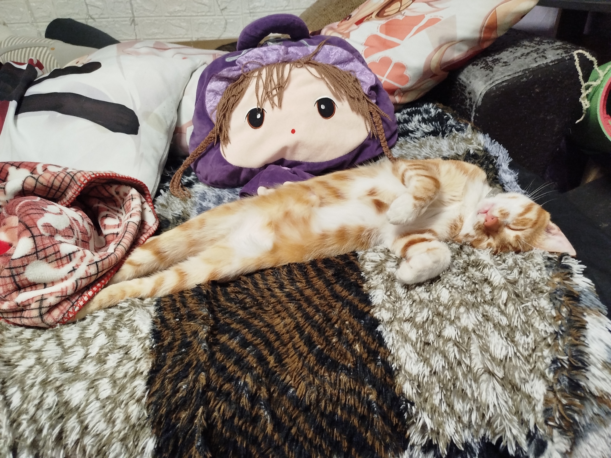 Memory