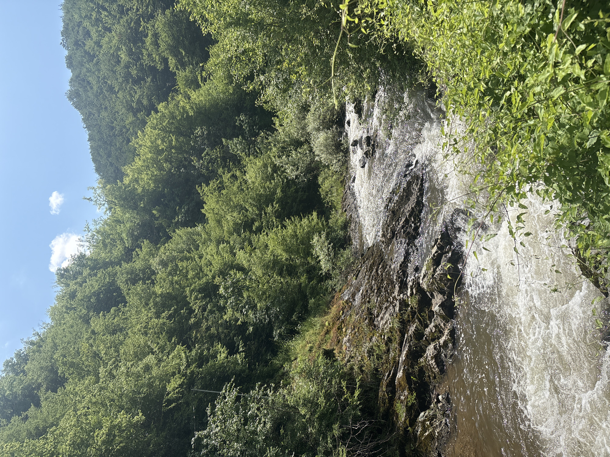 This is a natural landscape photograph captured during daytime under a clear sky with scattered white clouds. The scene depicts a river or stream flowing through a densely forested valley in the city of Unknown, Unknown.
The majority of the image is dominated by lush green deciduous trees covering steep hillsides on both the left and right, extending from the mid-ground to the top. The foliage appears vibrant and healthy, characteristic of spring or summer. In the upper part of the image, sections of a bright blue sky are visible.
A river or large stream occupies the lower and central portions of the image, flowing from the background towards the foreground. The water exhibits varying degrees of turbulence; a significant section on the right-center is churning with white foam and rapids, indicative of a strong current or shallow rocky sections. Towards the lower left, the water appears calmer and has a darker brown hue. The riverbed and left bank are rugged, characterized by large, dark, moss-covered rocks and stones. Some green grass and sparse vegetation grow among these rocks on the bank.
The immediate foreground on the right is filled with dense, bright green bushes and smaller plants, partially obscuring the river's edge. On the left side of the image, a thin, light-colored pole, possibly a utility pole, extends vertically upwards from the lower left, partially hidden by the surrounding trees and foliage. Sunlight is strong, casting bright reflections on the water and highlighting the tops of the foliage. No people or animals are visible.