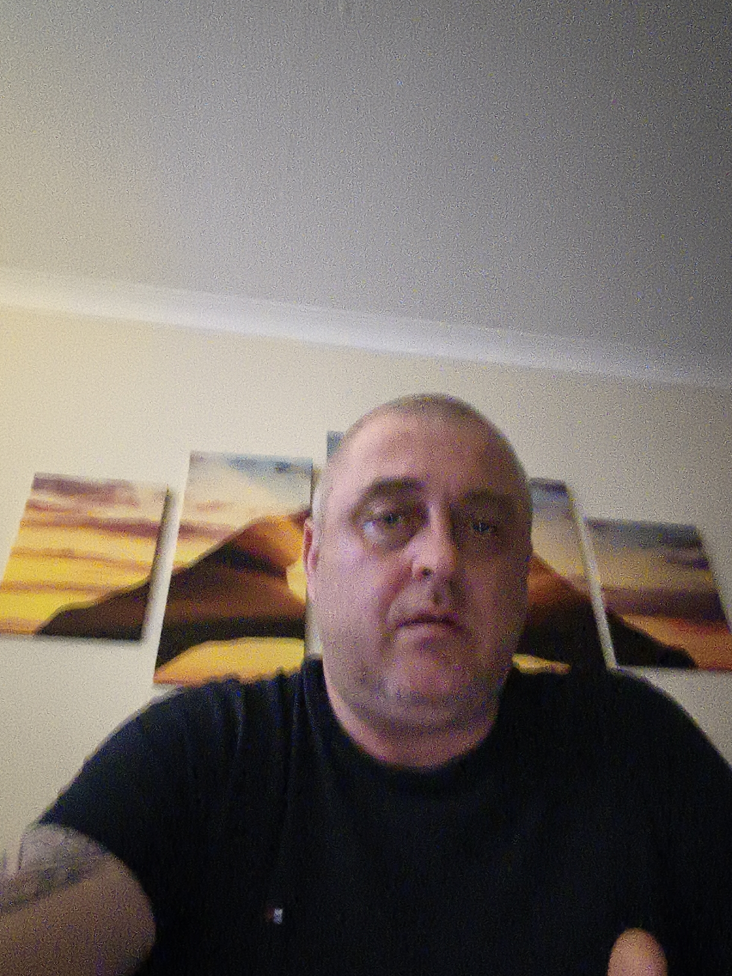 The image presents a close-up, head-and-shoulders portrait of a man, likely taken as a selfie within an indoor setting. The subject is a middle-aged or older man with a bald head and short stubble or beard. He gazes directly at the camera with a neutral, somewhat serious or tired expression. He is wearing a dark, possibly black or navy blue, t-shirt, and a faint tattoo is visible on his left arm.
The background features a light-colored wall adorned with four rectangular panels of wall art, arranged horizontally. These panels collectively depict a vibrant landscape, likely mountains or hills, illuminated by a warm sunset or sunrise sky in shades of yellow, orange, and brown. The room's ceiling is also light-colored.
The photograph exhibits noticeable digital noise or grain, especially prominent in the lighter areas of the wall and ceiling, and on the man's skin, suggesting it was captured in low light conditions or with limited camera sensitivity. No specific activity other than posing for the photograph is discernable. There is no visible text within the image. While the location is contextualized as Huntingdonshire, United Kingdom, the visual information in the image itself is consistent with a generic residential interior.