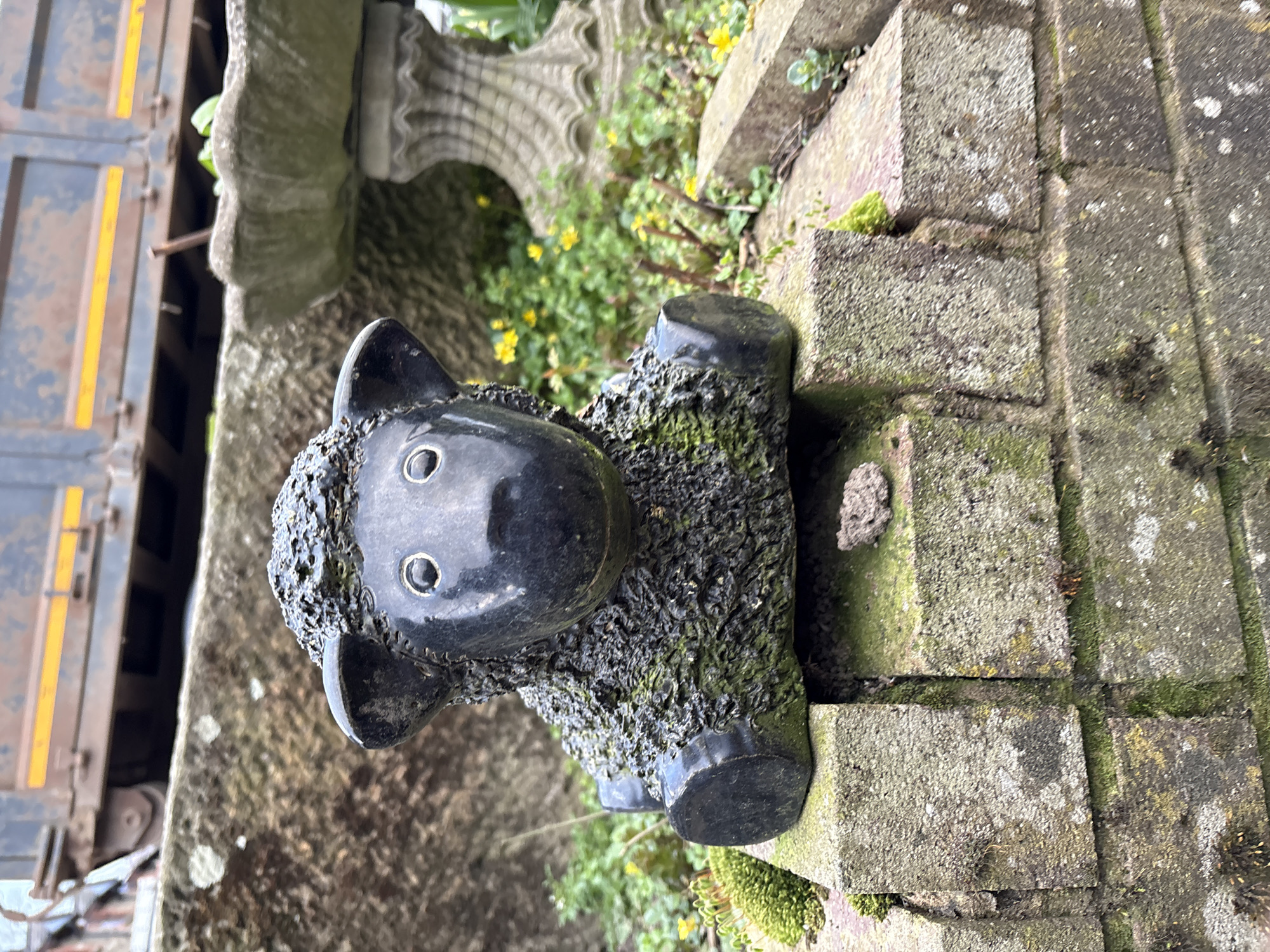 The image depicts a small, black, sheep-shaped garden ornament positioned on a mossy, stone-tiled surface. The sheep is slightly tilted and appears weathered. The setting is an outdoor area, likely a garden, given the presence of vegetation and architectural elements. In the background, portions of a stone or concrete structure are visible. Based on known locations in the city of Shrewsbury, United Kingdom, the architectural elements resemble the style and materials used for garden and landscaping projects around Attingham Park or other historic properties. There are no people present in the frame. The environment has a natural, rustic and somewhat neglected quality.