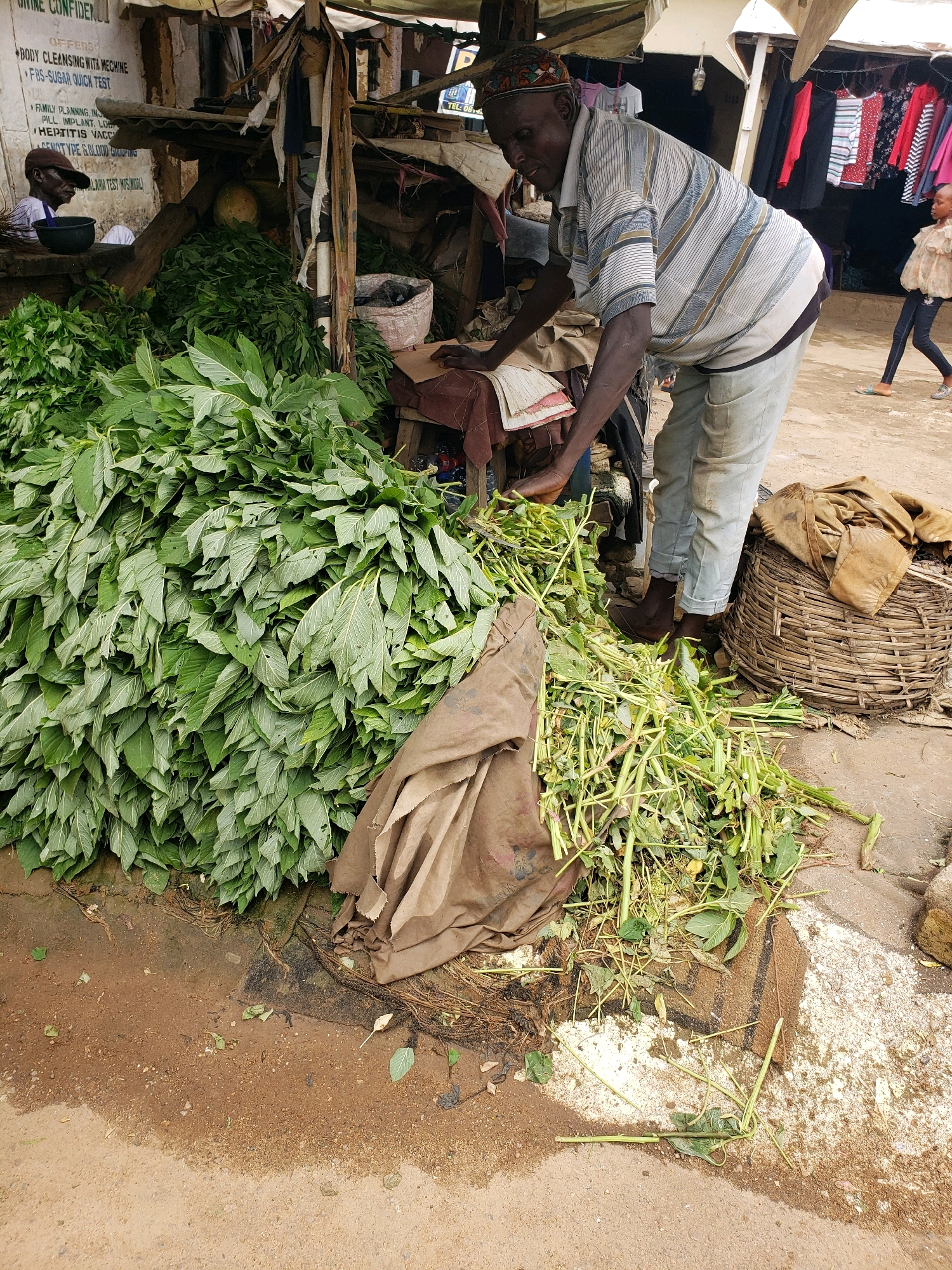 In Sabon Tasha, Nigeria, an outdoor market scene unfolds. A man, appearing to be of local ethnicity, is positioned behind a stall. He wears a striped short-sleeved shirt and light-colored pants. In front of him, a large quantity of green leafy vegetables is piled high. To his right, a woven basket is visible. In the background, clothing items hang from a structure, and a young girl walks away from the camera. The ground is a mix of dirt and a lighter-colored substance, with some debris present. The overall impression is that of a busy marketplace.