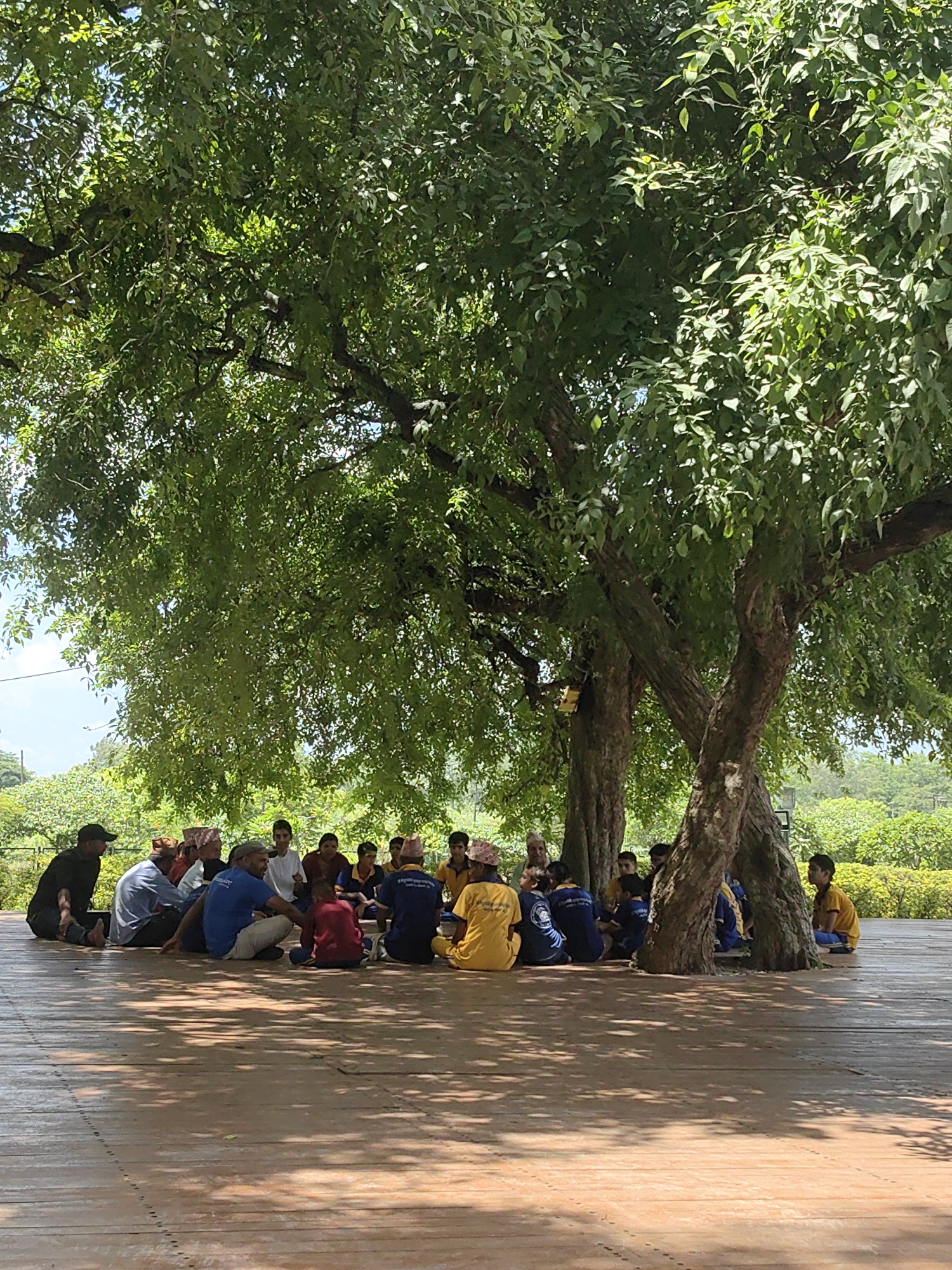 In Lumbini Bazaar, Nepal, a group of approximately 15 individuals, predominantly young people and a few adults, are seated in a circle on a wooden platform beneath the shade of a large tree. The individuals are dressed in a variety of clothing, including t-shirts, shirts, and some wearing traditional Nepali hats. Some are wearing blue and yellow uniforms, suggesting an organized activity or school group. They appear to be engaged in a discussion or lesson, with some individuals facing others and making eye contact. The environment is lush and green, with dense foliage from the tree overhead and trees and bushes visible in the background. The wooden platform has a patterned surface and shows some signs of wear. The overall scene depicts a calm and focused gathering in an outdoor setting.