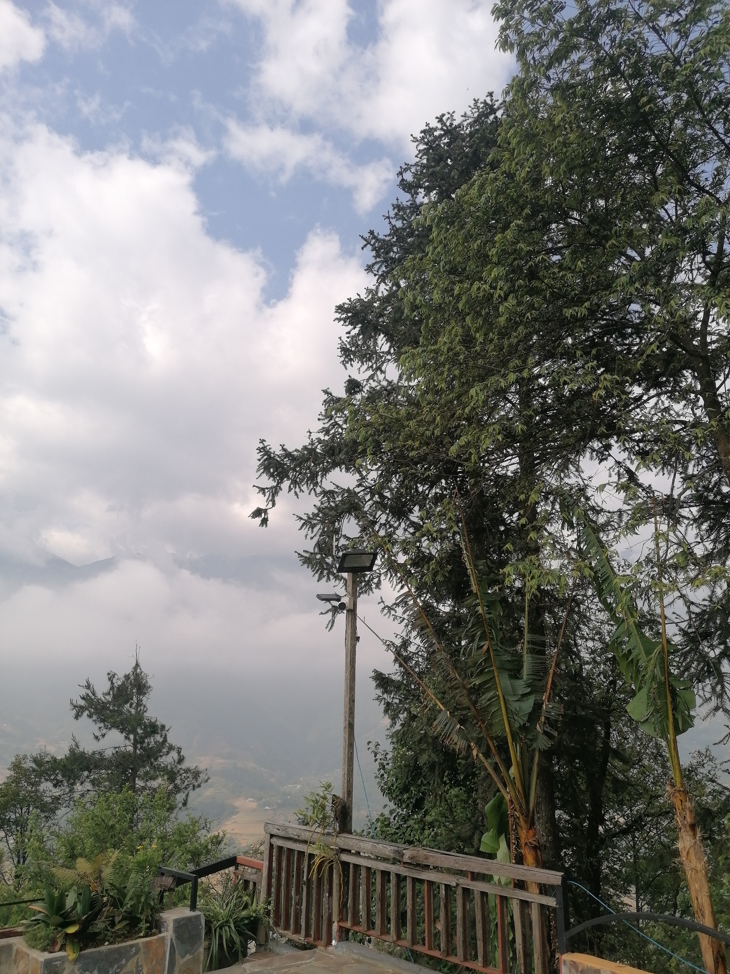 The image shows a scenic view from what appears to be a slightly elevated position in Sa Pa Ward, Vietnam, evidenced by the presence of mountains partially obscured by clouds in the background. A mix of deciduous and coniferous trees dominate the right side of the frame. A wooden railing borders the foreground, with cultivated plants in containers behind it. To the left of the trees is a streetlight. The sky features a mix of blue and white clouds.