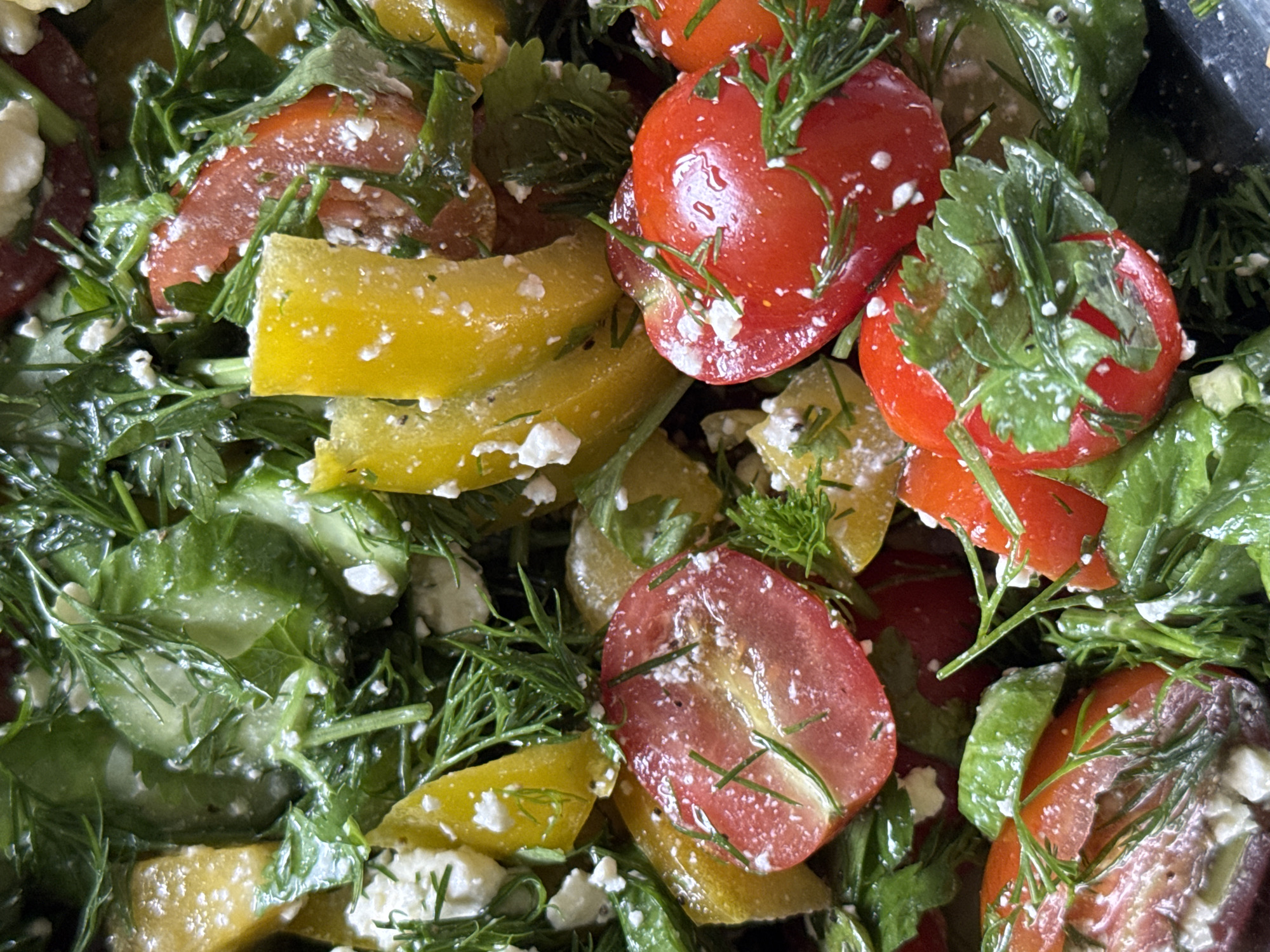 The image presents a close-up, overhead view of a vibrant and fresh salad. The primary subjects are a colorful mix of vegetables and cheese, densely packed within a container, though the container itself is mostly out of frame.
The salad features numerous bright red cherry or grape tomatoes, many of which are halved, revealing their juicy interiors and small seeds. These are interspersed with generous pieces of diced yellow bell pepper, offering a contrasting bright color and firm texture. Abundant green elements are woven throughout the salad, including various leafy greens, distinct flat parsley leaves, and delicate, feathery fronds of fresh dill, which garnish many of the vegetables. Small, irregular white crumbles, characteristic of feta cheese, are scattered across the ingredients, adhering to their surfaces.
A light, possibly oily or creamy dressing coats the vegetables and cheese, giving them a slight sheen and helping the cheese crumbles to cling. The overall impression is one of freshness and appealing texture. The lighting is bright and even, highlighting the natural colors and succulence of the ingredients.
There is no specific activity depicted other than the presentation of a prepared salad, likely ready to be eaten or served. No people are visible, nor are there any discernible location cues within the image itself to suggest North Kuta, Indonesia, or a specific time of day. There is no visible text in the image.