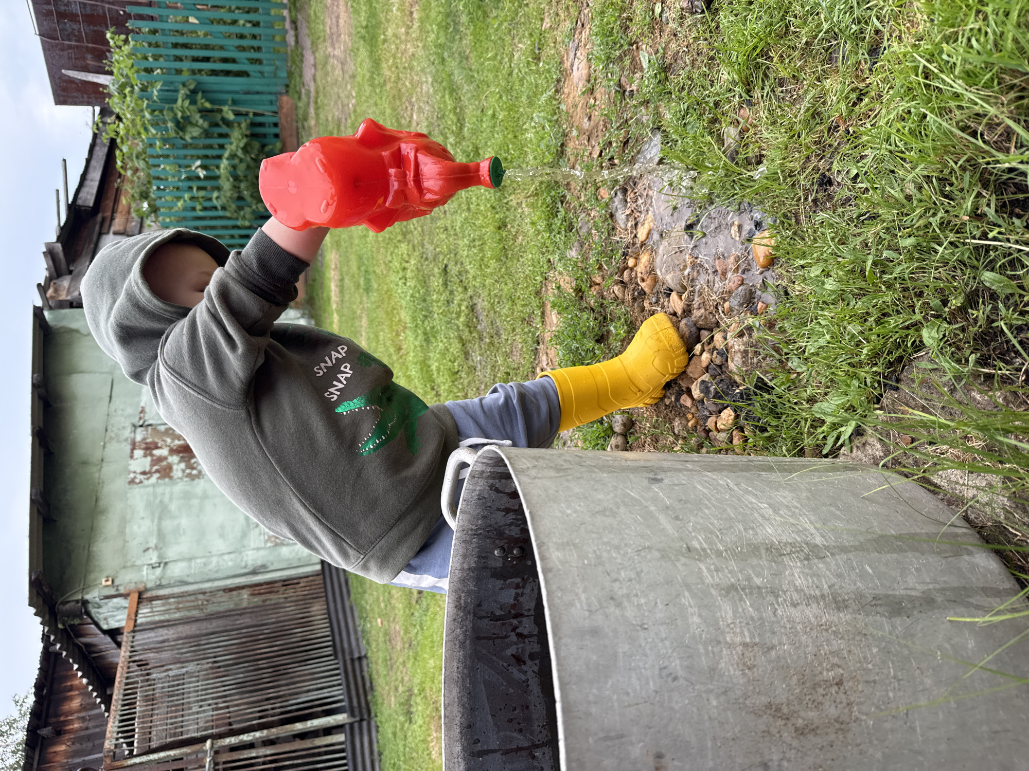 A young child, wearing a hooded sweatshirt with a crocodile graphic, grey pants, and yellow rain boots, is watering the ground with a red novelty watering can shaped like a cartoon animal. The child is standing in a grassy yard with some exposed dirt and pebbles. To the left of the child is a large, aluminum pot or bucket. In the background, there is a rustic wooden fence, a dilapidated wooden shed or outbuilding, and some overgrown vegetation. The sky is overcast. This scene appears to be in a rural or suburban setting, possibly a backyard, in Verkhnyaya Ury, Russia.