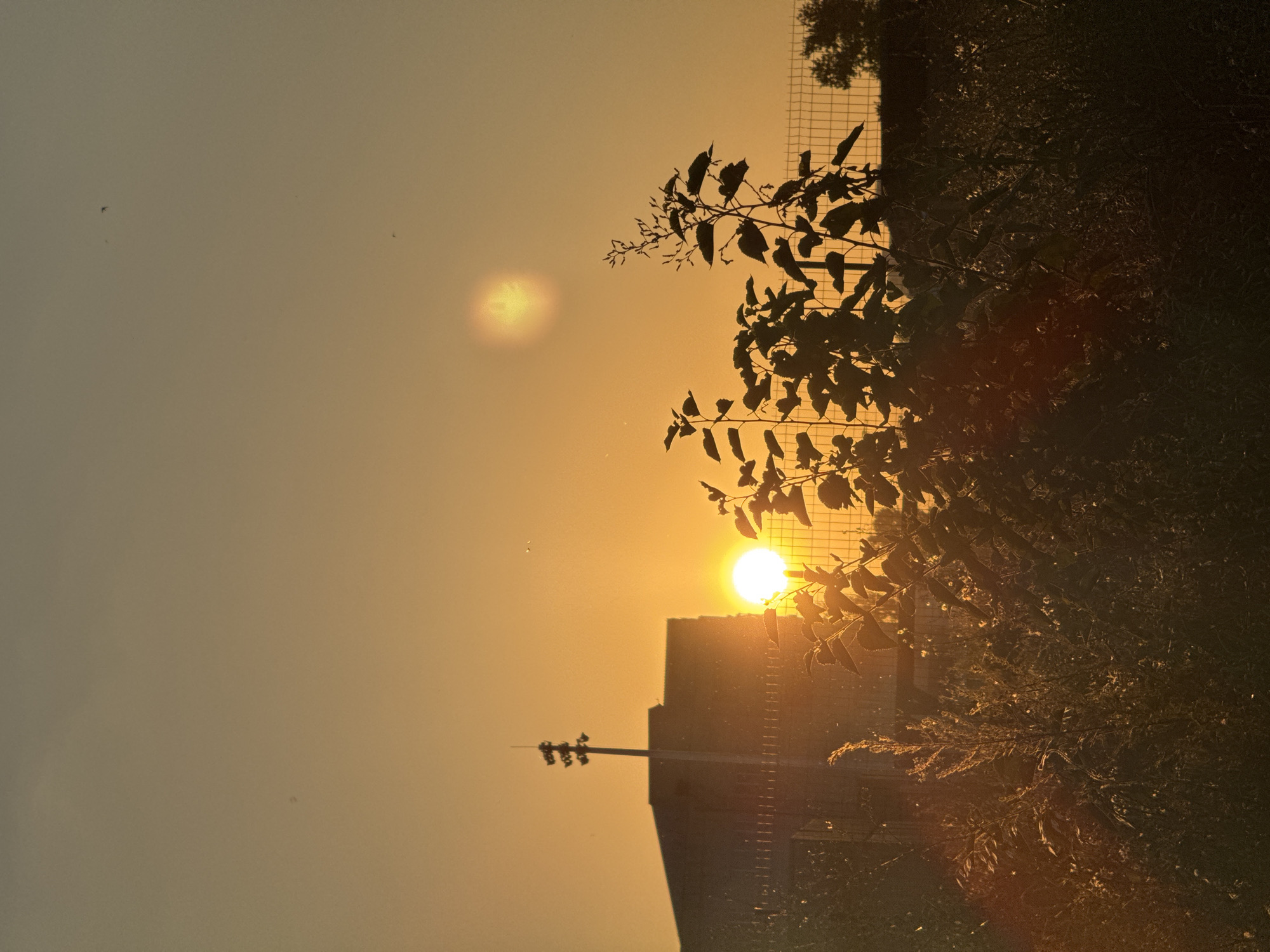 The image depicts a sunset in an urban setting, possibly Tbilisi, Georgia. The sun, a bright, glowing orb, is low in the sky, casting a warm, golden light across the scene. Silhouettes of trees and foliage dominate the foreground, with their leaves catching the light. In the middle ground, a portion of a building with a textured, grid-like facade is visible, partially obscured by vegetation. A pole with several figures, possibly streetlights or decorative elements, extends horizontally from the building. The sky is a gradient of orange and yellow, with a few distant, hazy sunspots or lens flares. The overall mood is tranquil and serene, evoking the peaceful end of a day. The time of day is clearly sunset, characterized by the low angle of the sun and the warm, diffused light. No text is visible in the image.