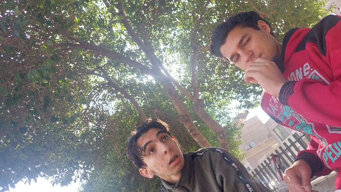 Memory