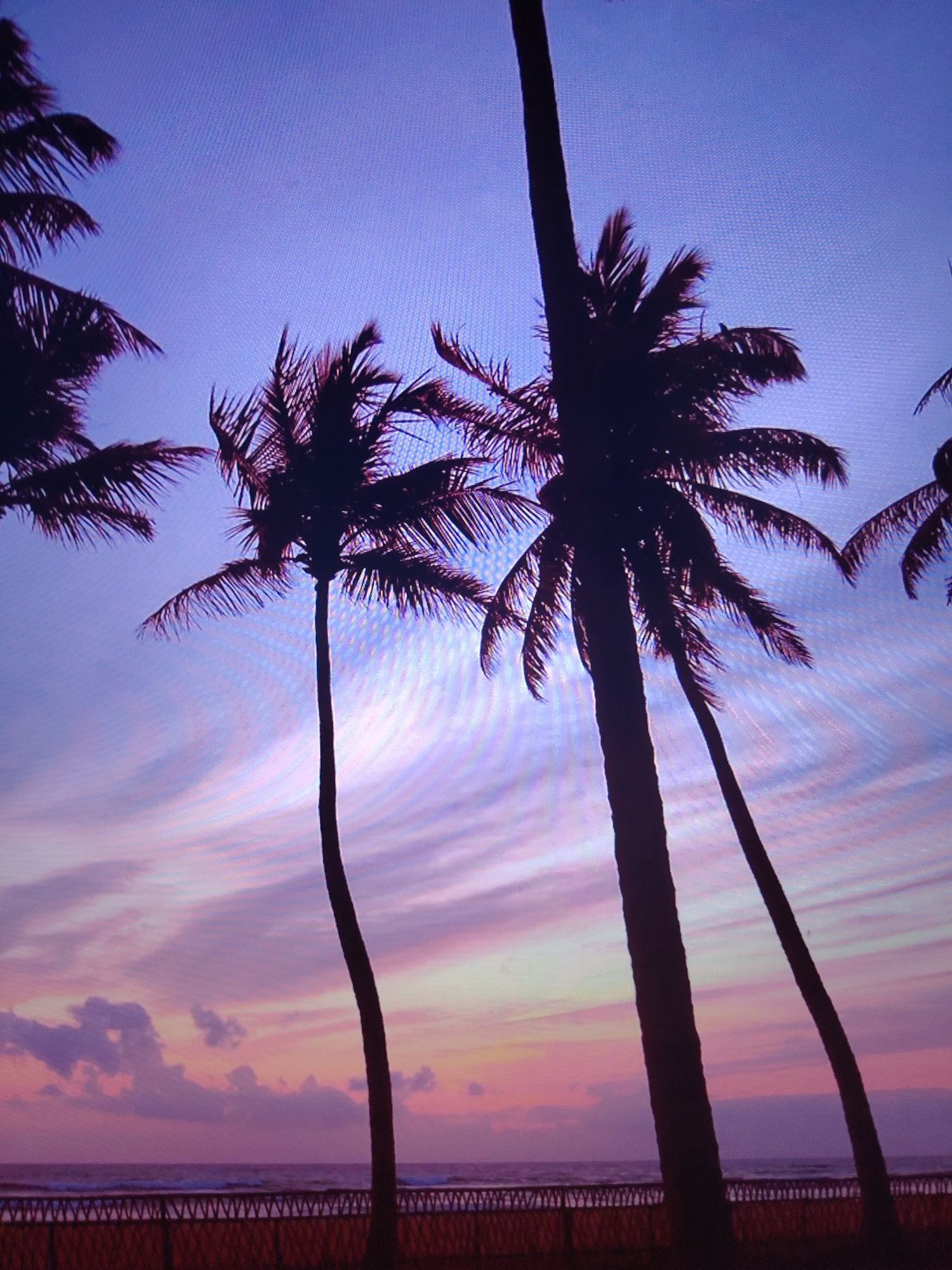 The image depicts a tropical beach scene at sunset. Silhouetted palm trees are the prominent foreground elements, their dark shapes contrasting with the vibrant hues of the sky. The sky transitions from a pale blue at the top to shades of pink and purple near the horizon, with wispy clouds adding texture and depth. A fence runs along the lower edge of the image, partially obscuring the beach and ocean. The location is Unknown, Unknown.