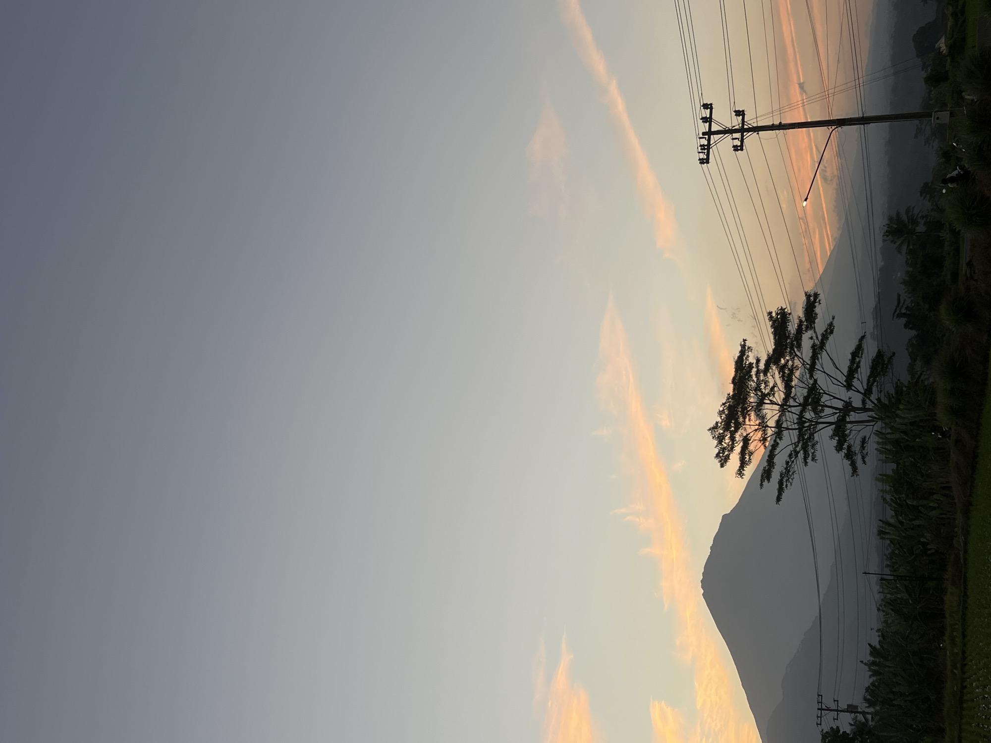 The image depicts a serene landscape at dusk or dawn, likely in Kalijoso, Indonesia. A large, silhouetted mountain dominates the left side of the frame, its peak softened by the atmospheric haze. In front of the mountain, a solitary tree stands tall with its branches spread wide. Power lines and a utility pole are visible in the middle ground, with a street lamp casting a faint glow. The sky above is a gradient of soft blues and grays, with streaks of pale orange and pink clouds indicating the setting or rising sun. The foreground features lush greenery, possibly rice paddies, and dense vegetation, suggesting a rural or semi-rural setting. The overall impression is one of tranquility and natural beauty, with subtle signs of human presence in the form of the power infrastructure.