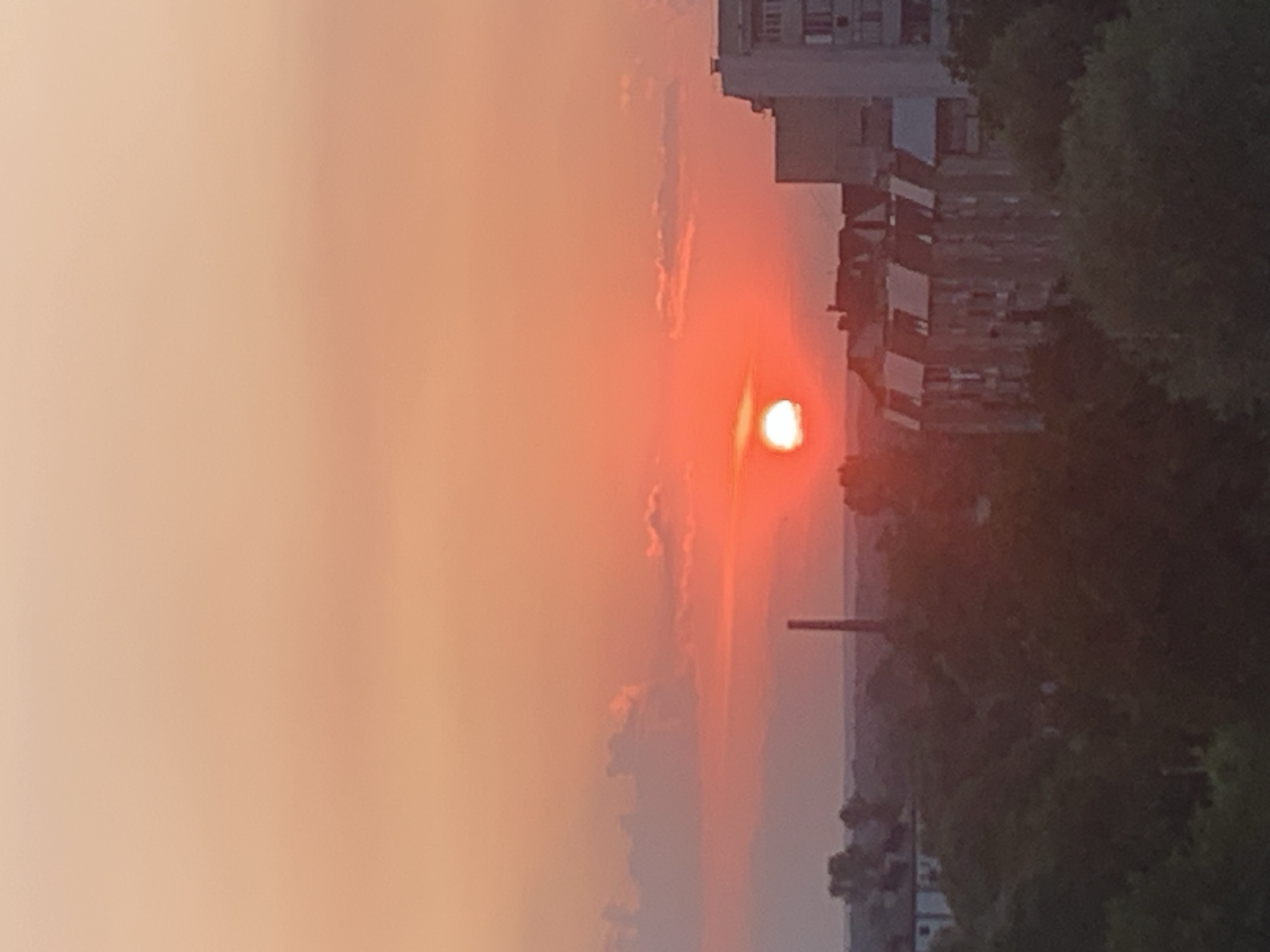 The image depicts a sunset over a city in Kolomyia, Ukraine. The sun, a bright orange orb, is partially obscured by clouds, casting a warm glow across the sky. The foreground is dominated by a lush green tree, its branches creating a silhouette against the colorful backdrop. In the distance, several buildings and a tall industrial structure are visible, suggesting an urban environment. The overall mood of the image is serene and peaceful, with the warm hues of the sunset evoking a sense of tranquility. The time of day is clearly sunset, indicated by the low position of the sun and the warm, diffused light. The weather appears to be clear, with only a few wispy clouds scattered across the sky. The presence of buildings and trees suggests a typical cityscape. There is no visible text in the image.