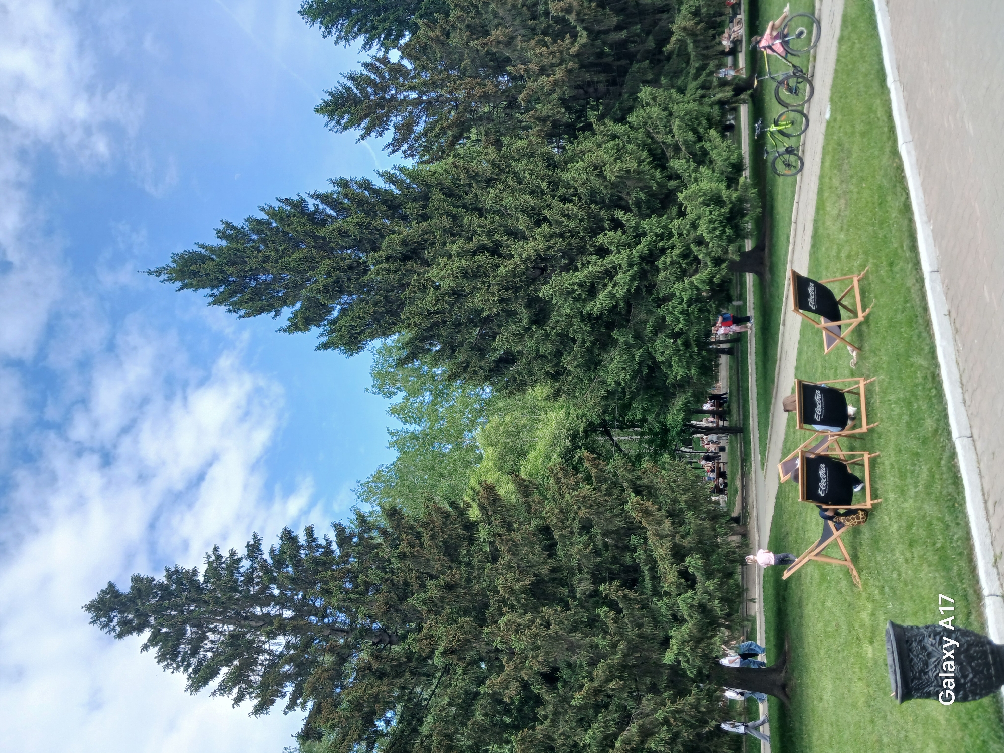 The image captures a scene in Yekaterinburg, Russia, showcasing a park-like setting during daylight. Several tall evergreen trees frame the sky, which is a mix of blue with scattered white clouds. In the foreground, there's a grassy area alongside a paved walkway. Three wooden beach chairs are placed on the grass, two of them occupied. Further along the walkway, a couple of parked bicycles are visible. A group of people appears to be seated or relaxing on benches in the distance, partially obscured by the trees. The overall scene suggests a relaxed, recreational atmosphere in an urban park.